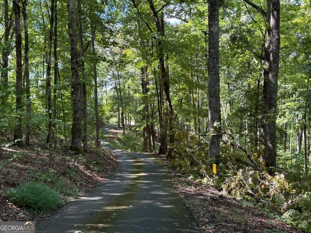 residential lot for sale at LOT 33 Falcon Overlook, Hayesville, MD 20894 — photo 6