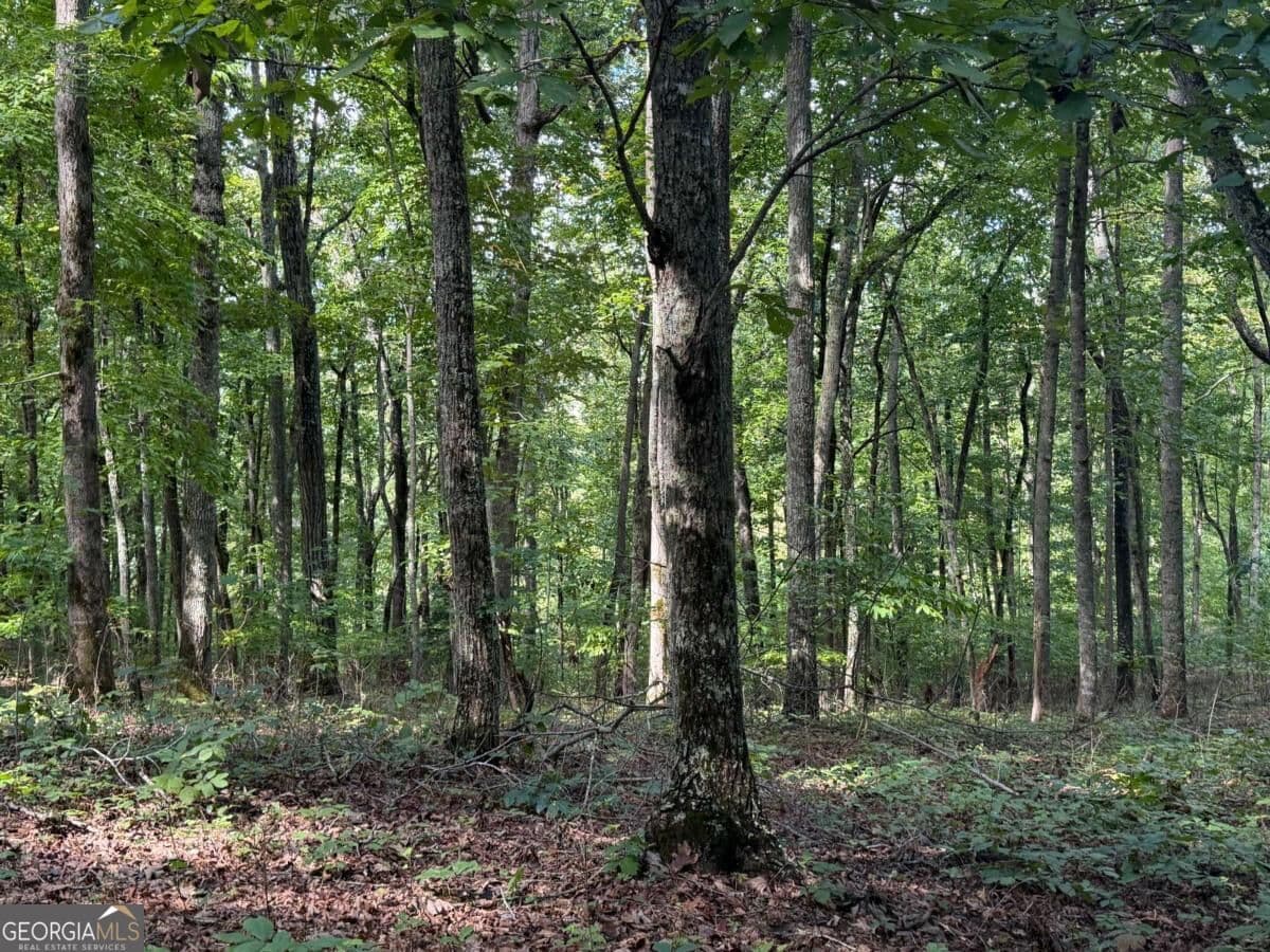 residential lot for sale at LOT 33 Falcon Overlook, Hayesville, MD 20894 — photo 7