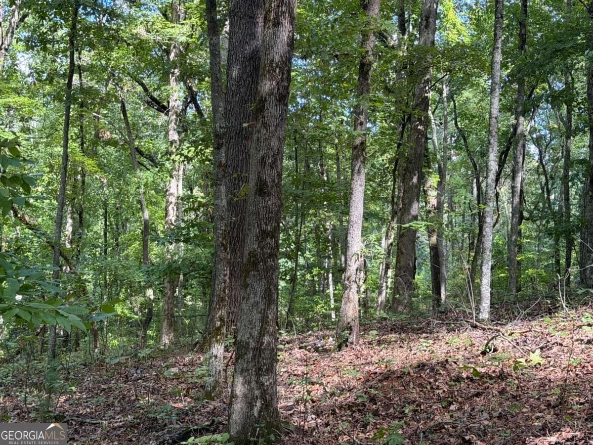 residential lot for sale at LOT 33 Falcon Overlook, Hayesville, MD 20894 — photo 3