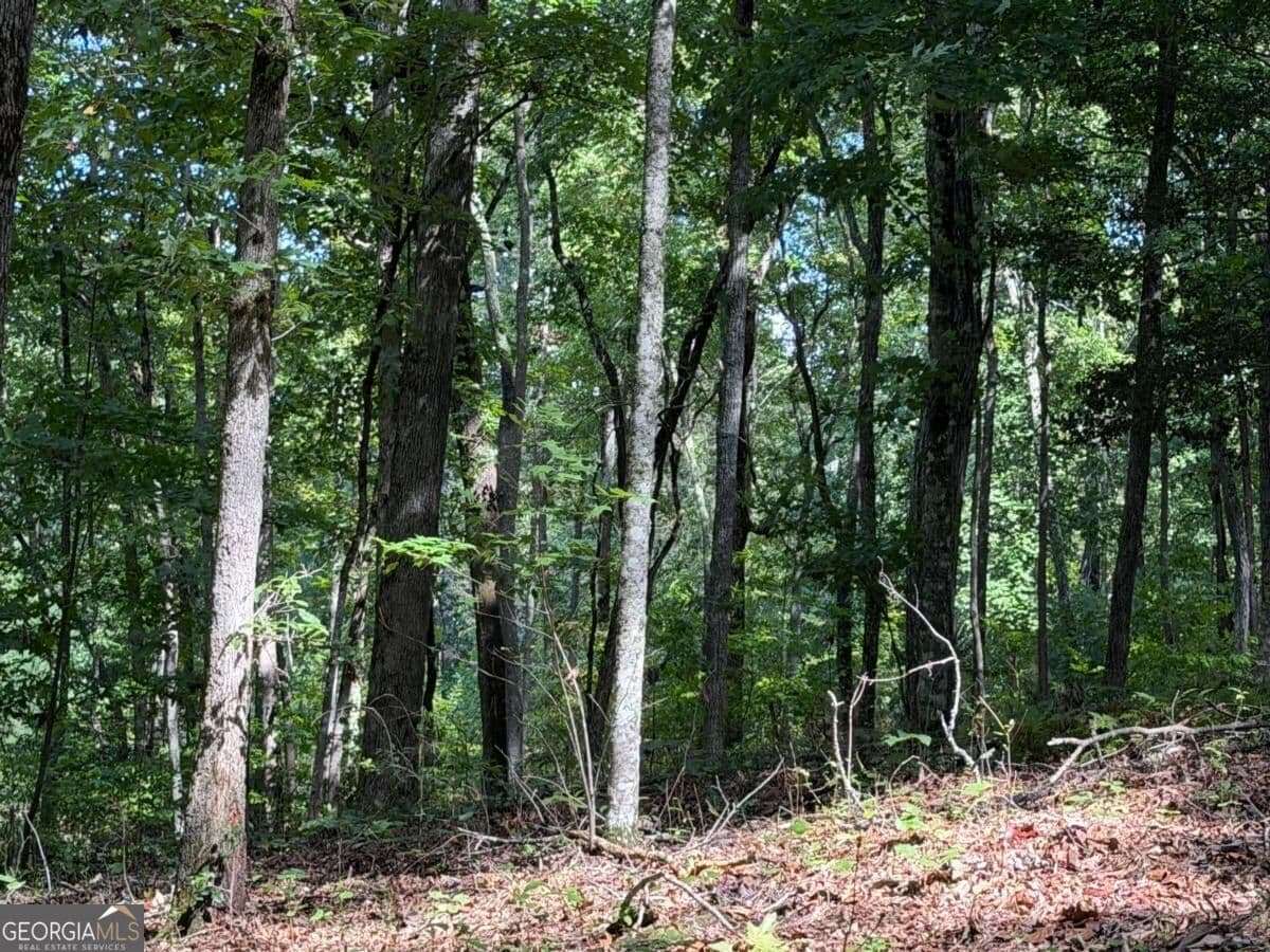 residential lot for sale at LOT 33 Falcon Overlook, Hayesville, MD 20894 — photo 9
