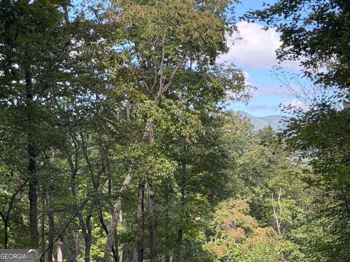residential lot for sale at LOT 33 Falcon Overlook, Hayesville, MD 20894 — photo 4