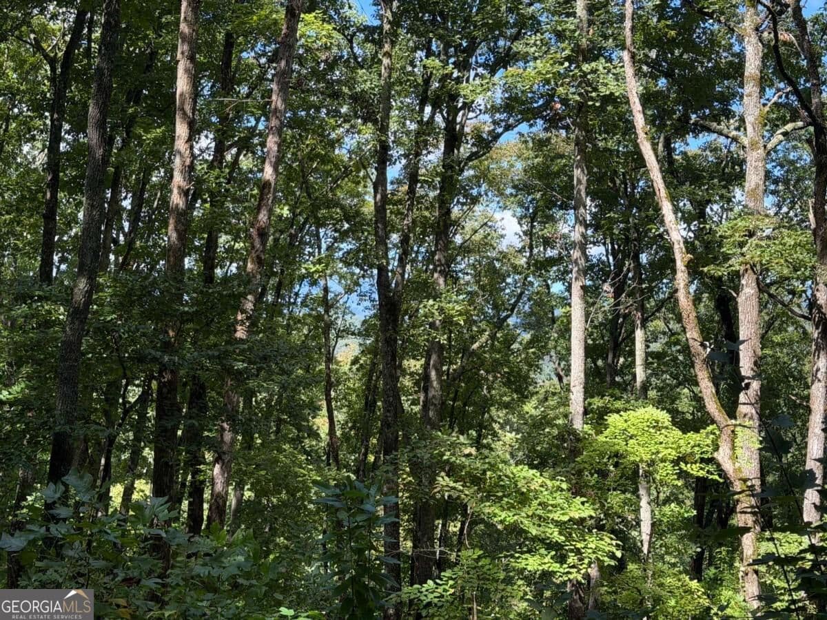 residential lot for sale at LOT 33 Falcon Overlook, Hayesville, MD 20894 — photo 8