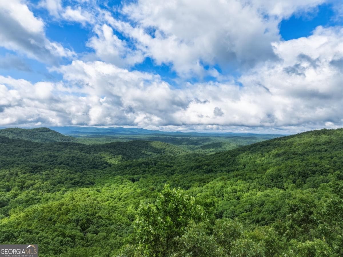 4 bedroom, 4 bathroom, 2,452 sq ft cabin,single family residence for sale at 1220 Walnut Ridge, Ellijay, GA 30536 — photo 6