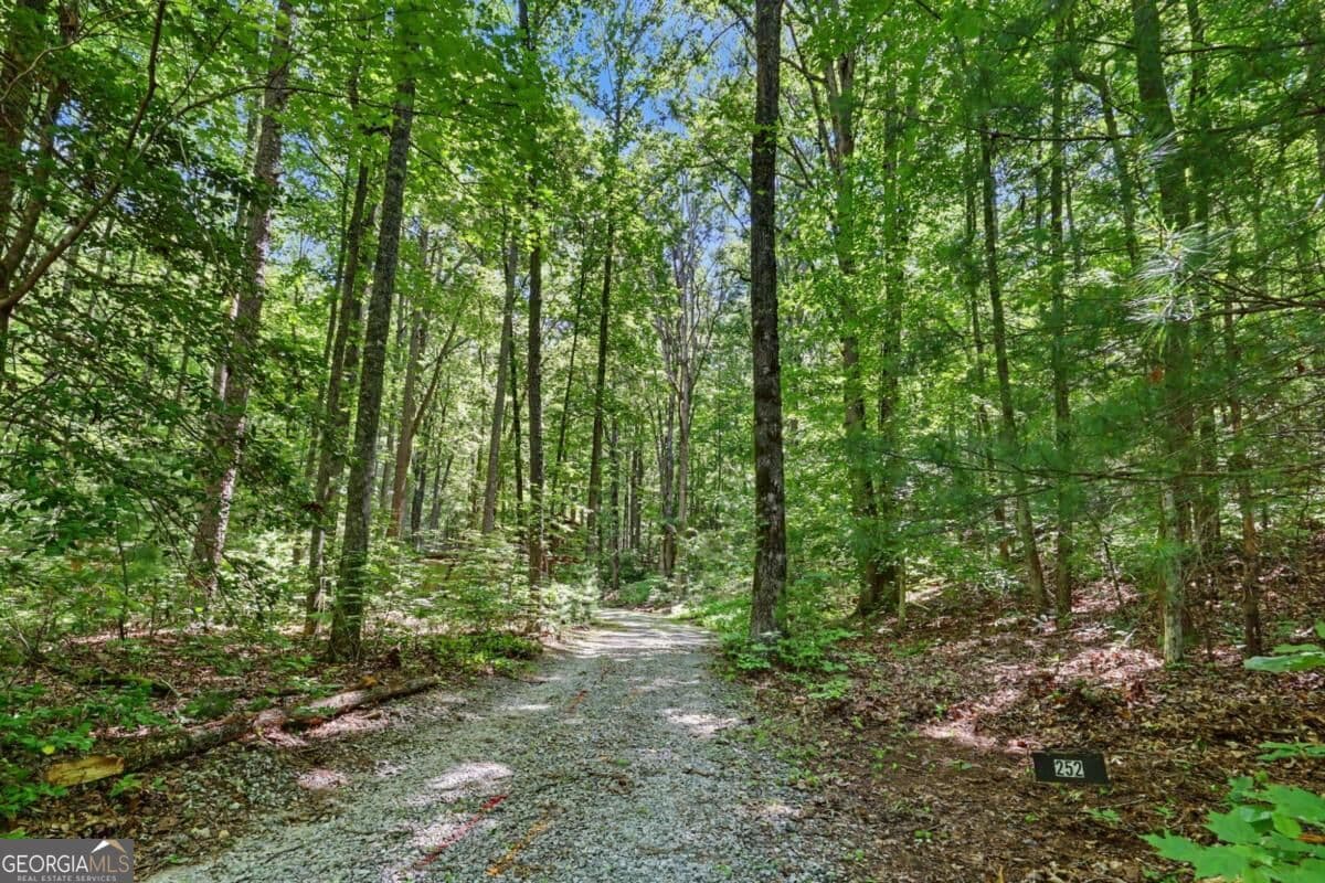 3 bedroom, 2 bathroom, 1,560 sq ft cabin,single family residence for sale at 252 Navigator Lane, Tiger, GA 30576 — photo 3