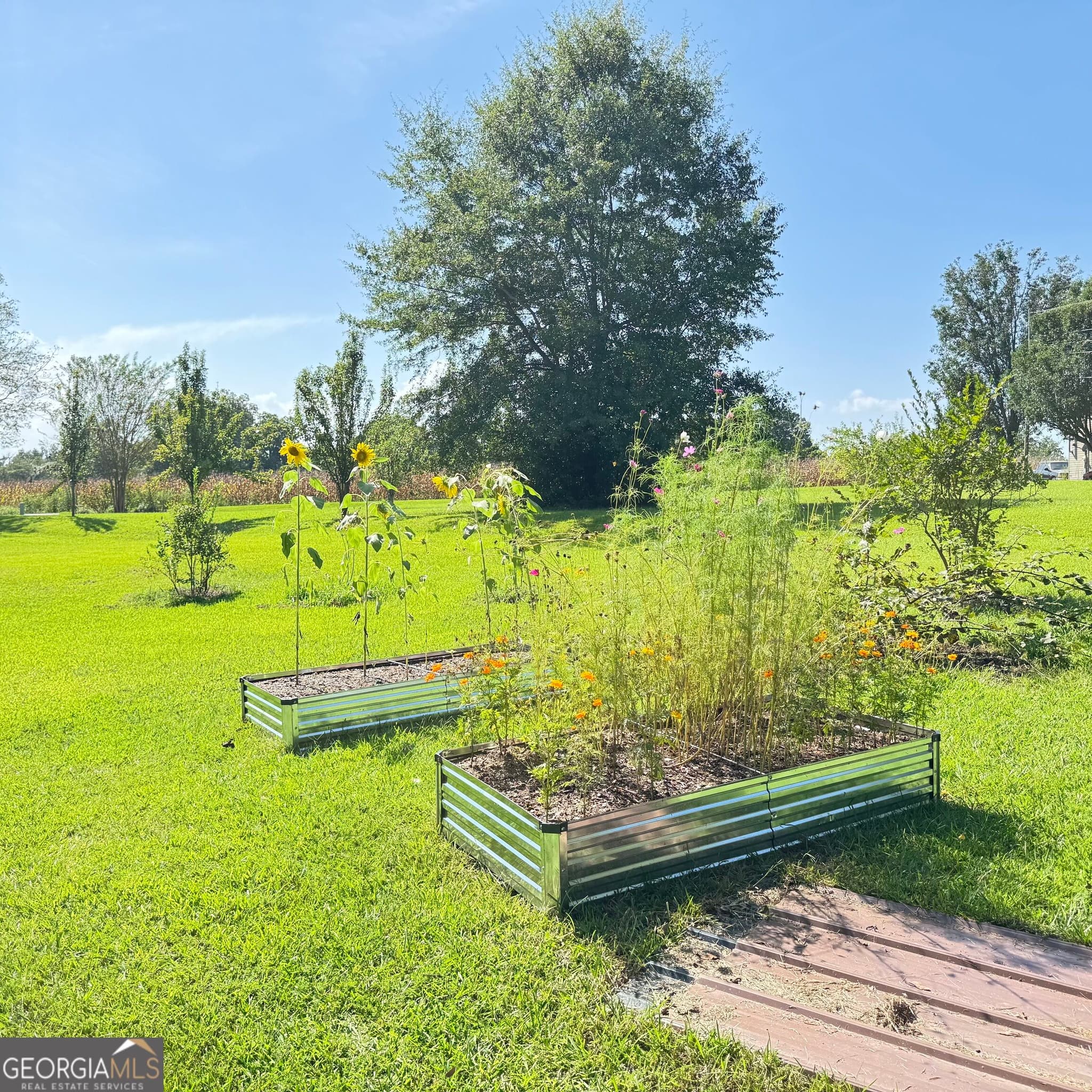 4 bedroom, 3 bathroom, 3,200 sq ft single family residence for sale at 1027 1st Avenue, Centre, AL 35960 — photo 10