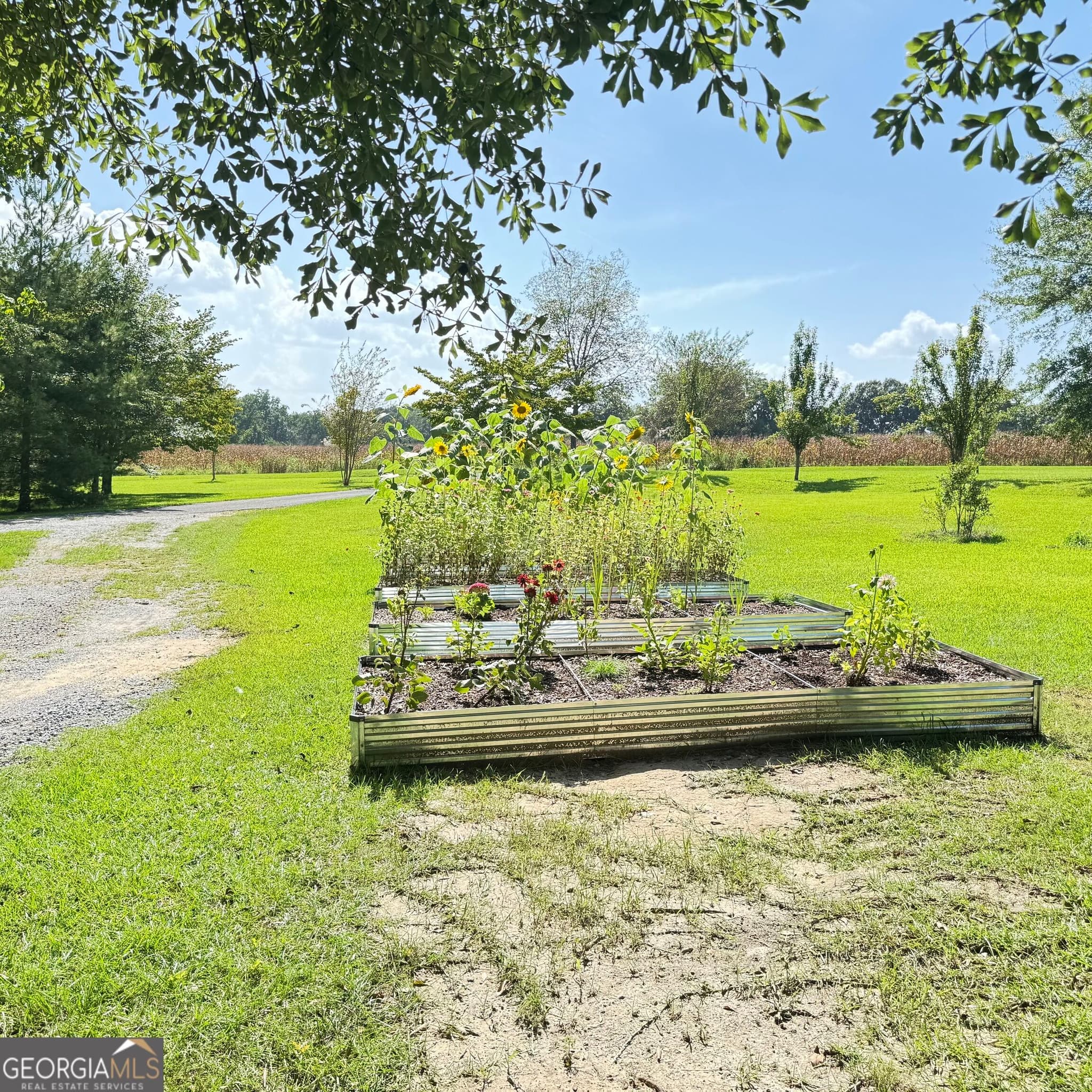 4 bedroom, 3 bathroom, 3,200 sq ft single family residence for sale at 1027 1st Avenue, Centre, AL 35960 — photo 8