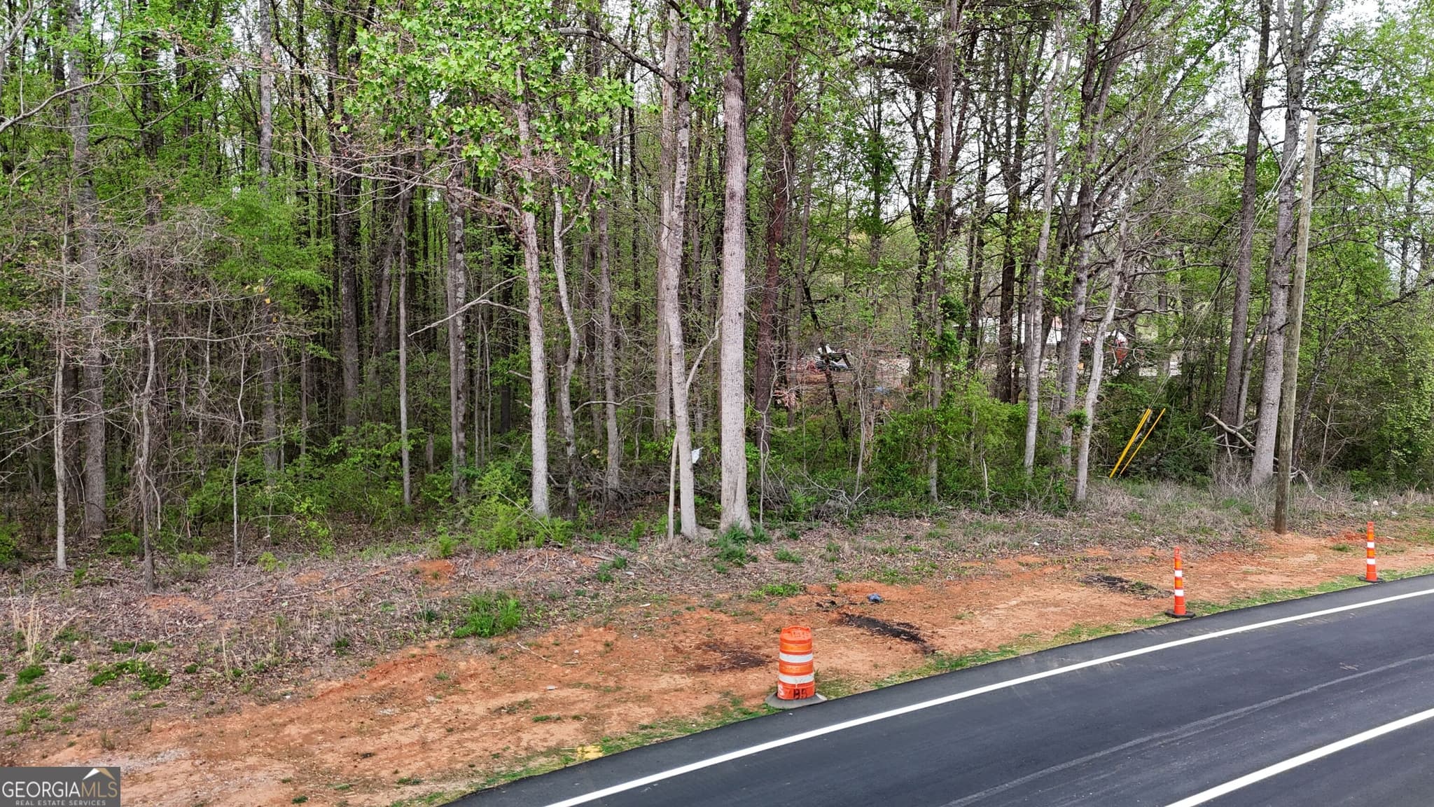 residential lot for sale at 0 Burruss Mill Road, Cumming, GA 30041 — photo 9