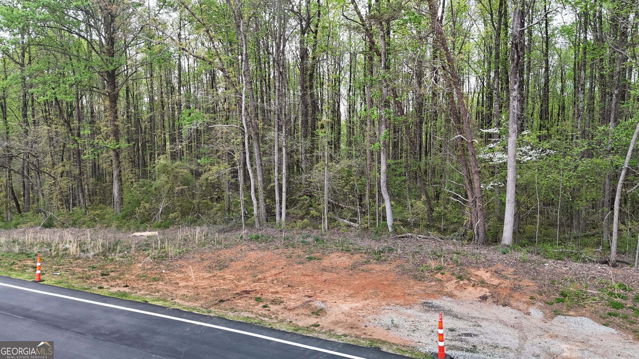 residential lot for sale at 0 Burruss Mill Road, Cumming, GA 30041 — photo 10