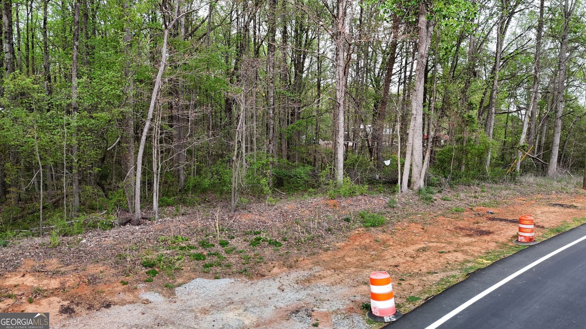 residential lot for sale at 0 Burruss Mill Road, Cumming, GA 30041 — photo 8