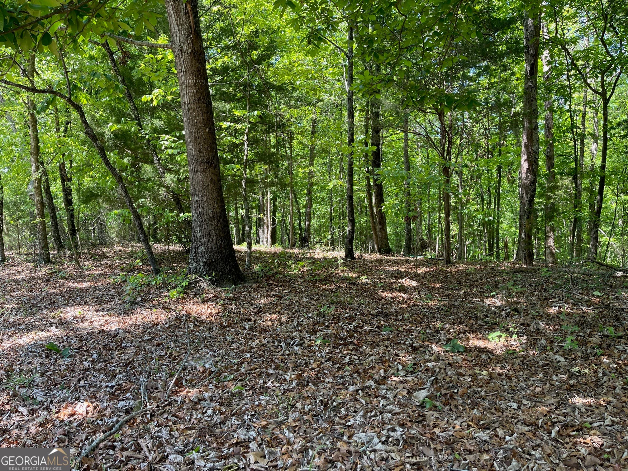 residential lot for sale at TRACT 1A CHALCREST Way, Cave Spring, GA 30124 — photo 2
