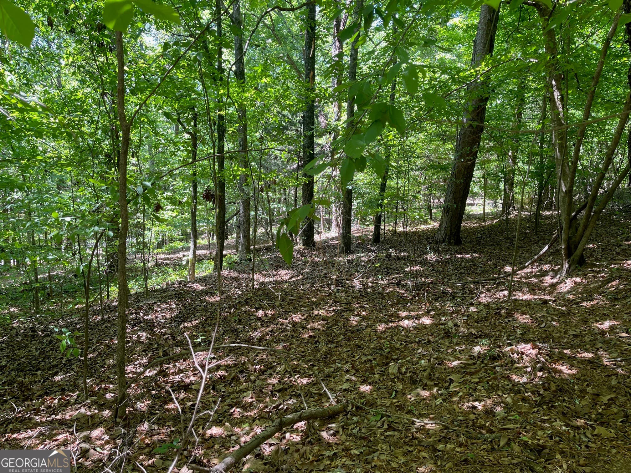 residential lot for sale at TRACT 1A CHALCREST Way, Cave Spring, GA 30124 — photo 6
