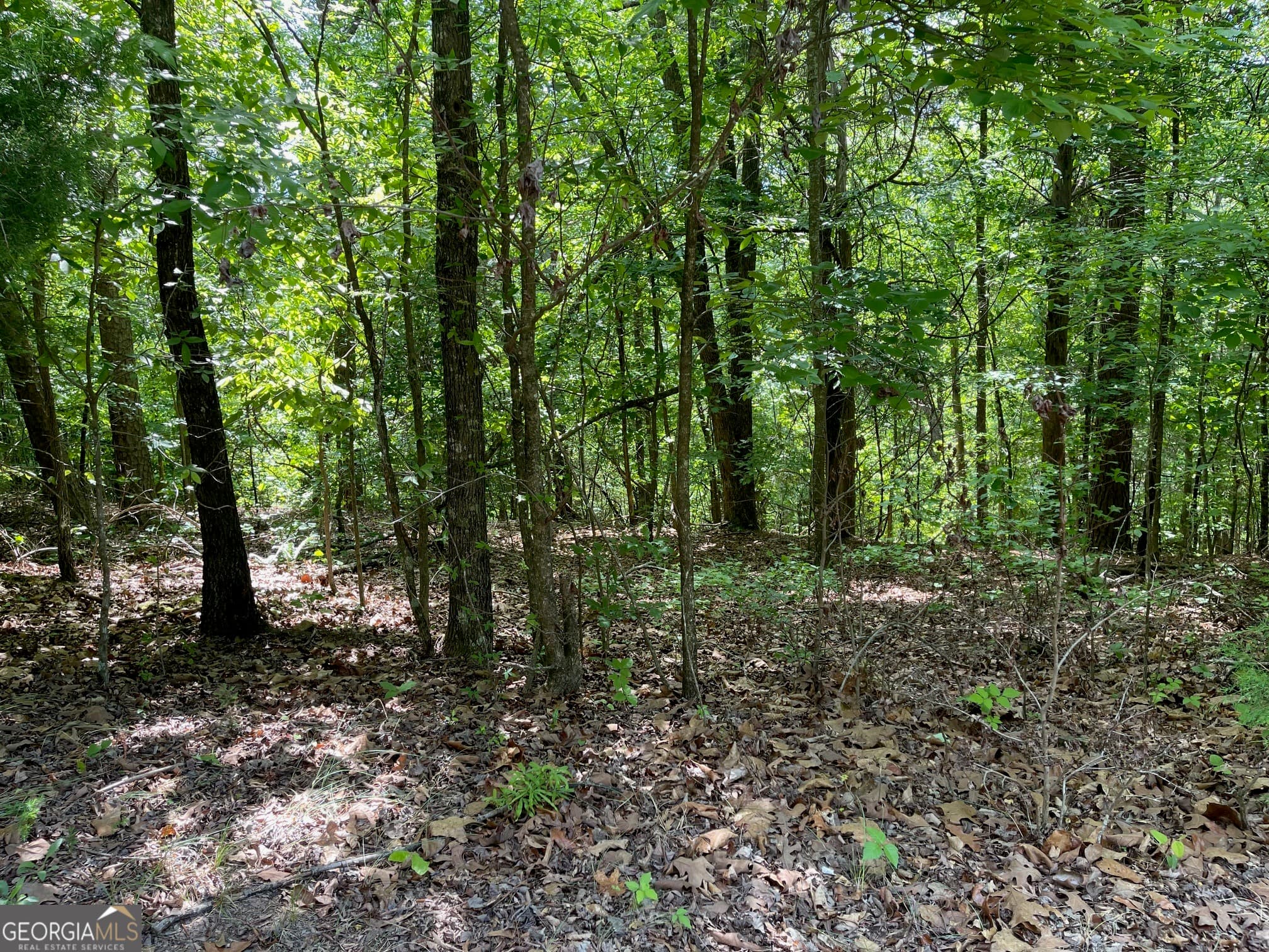 residential lot for sale at TRACT 1A CHALCREST Way, Cave Spring, GA 30124 — photo 7