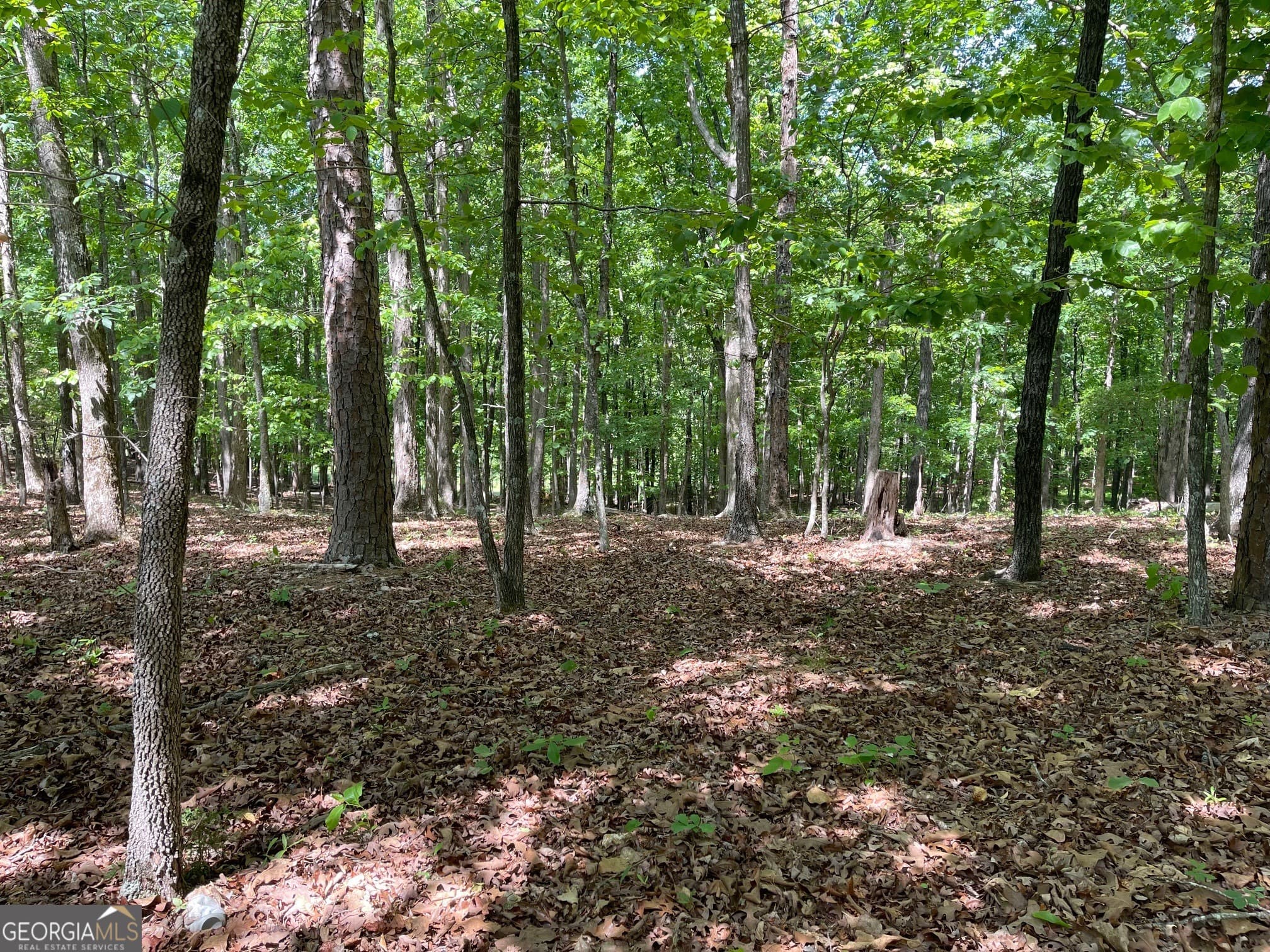 residential lot for sale at TRACT 1A CHALCREST Way, Cave Spring, GA 30124 — photo 3