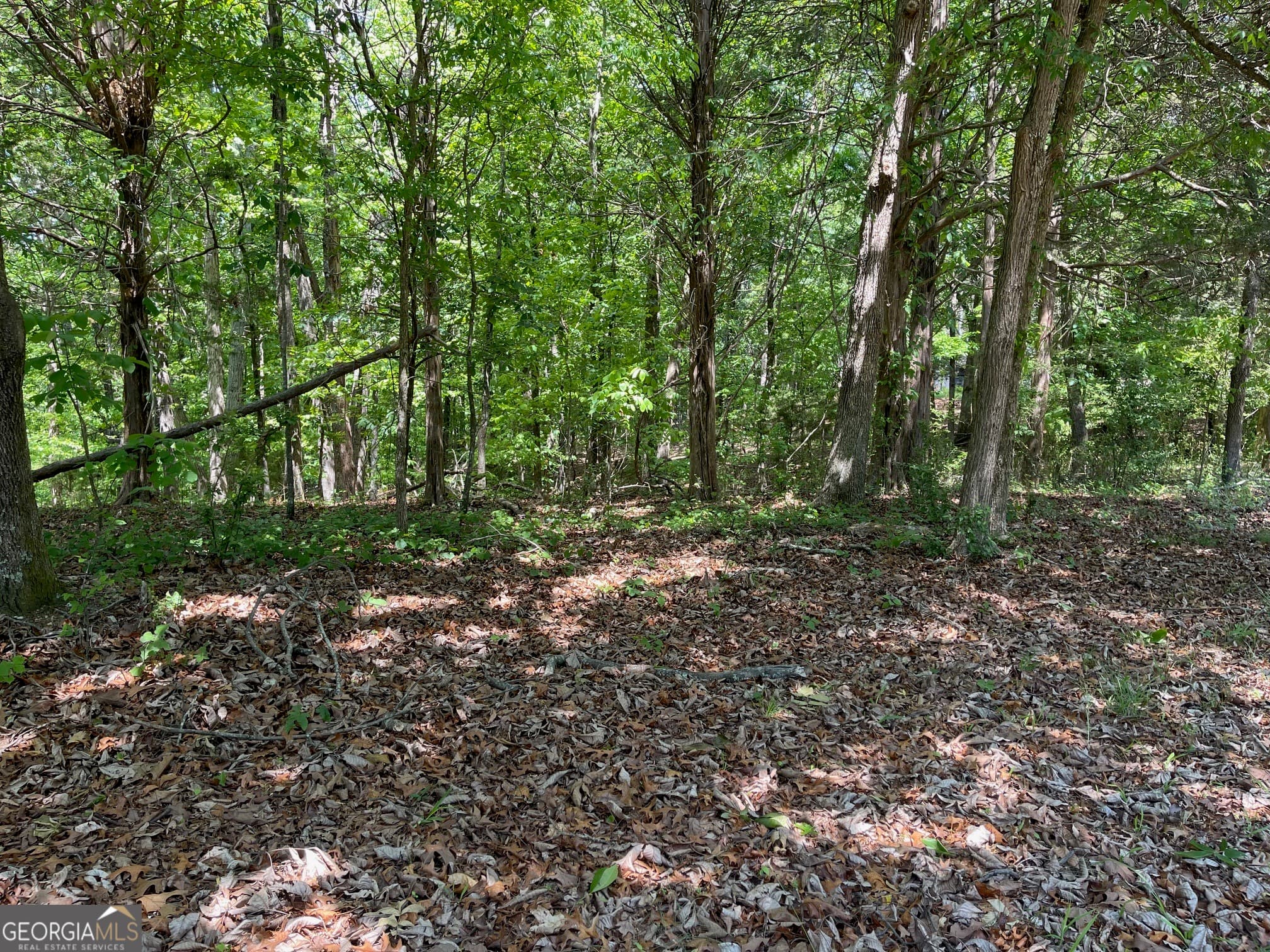 residential lot for sale at TRACT 1A CHALCREST Way, Cave Spring, GA 30124 — photo 1 of 56