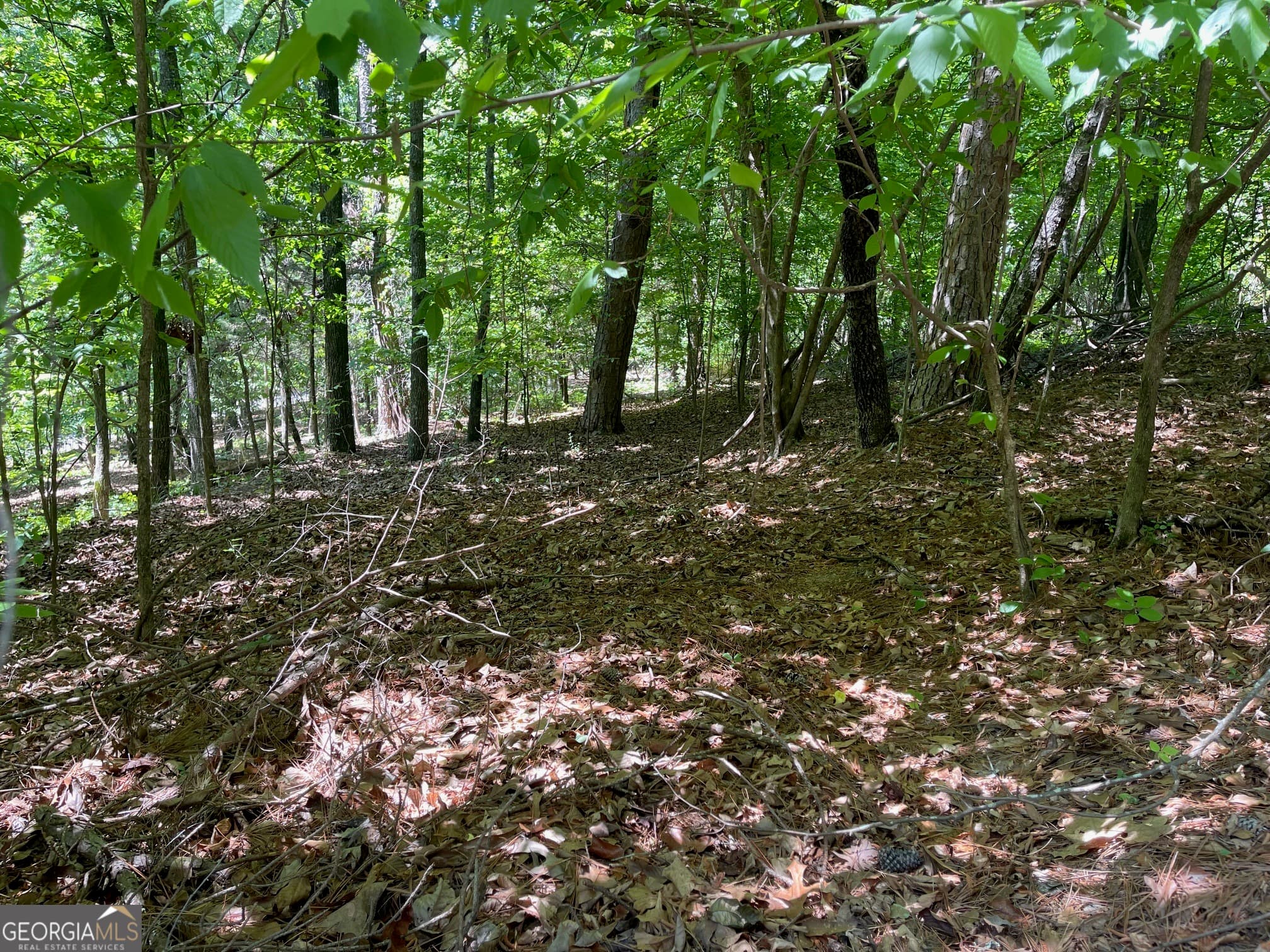 residential lot for sale at TRACT 1A CHALCREST Way, Cave Spring, GA 30124 — photo 5