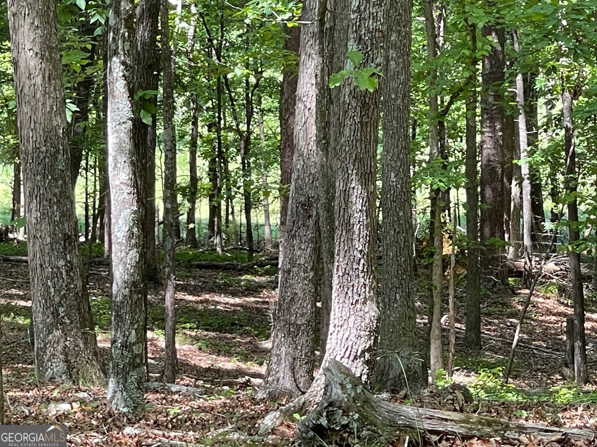 residential lot for sale at TRACT 1A CHALCREST Way, Cave Spring, GA 30124 — photo 9
