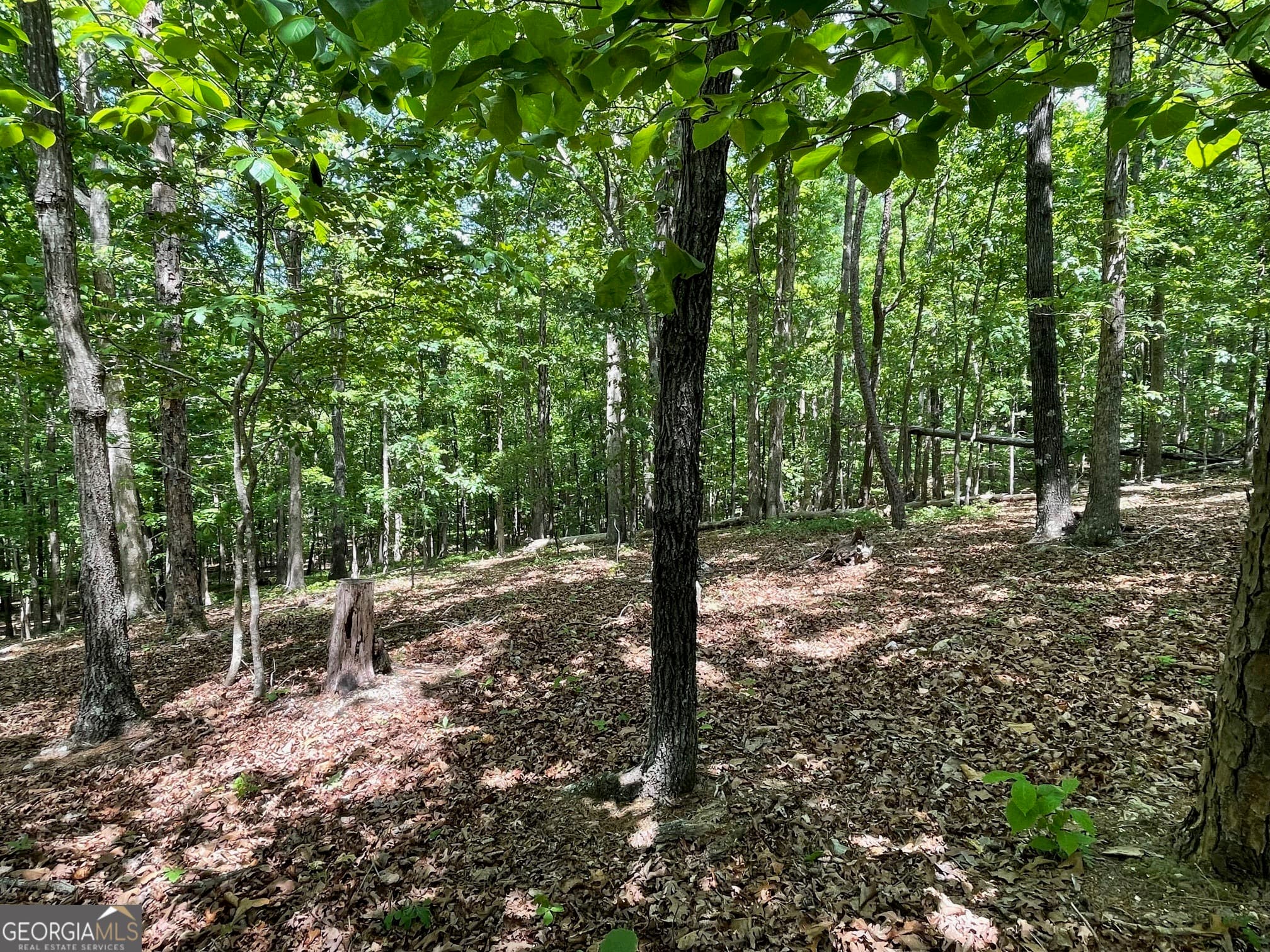 residential lot for sale at TRACT 1A CHALCREST Way, Cave Spring, GA 30124 — photo 10