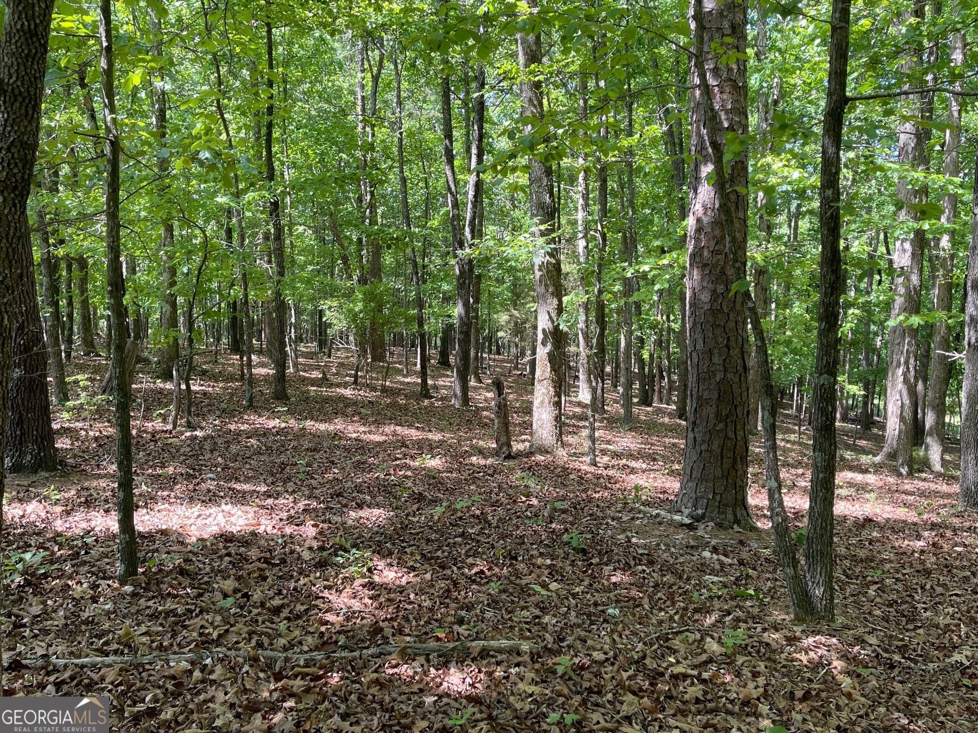 residential lot for sale at TRACT 1A CHALCREST Way, Cave Spring, GA 30124 — photo 4