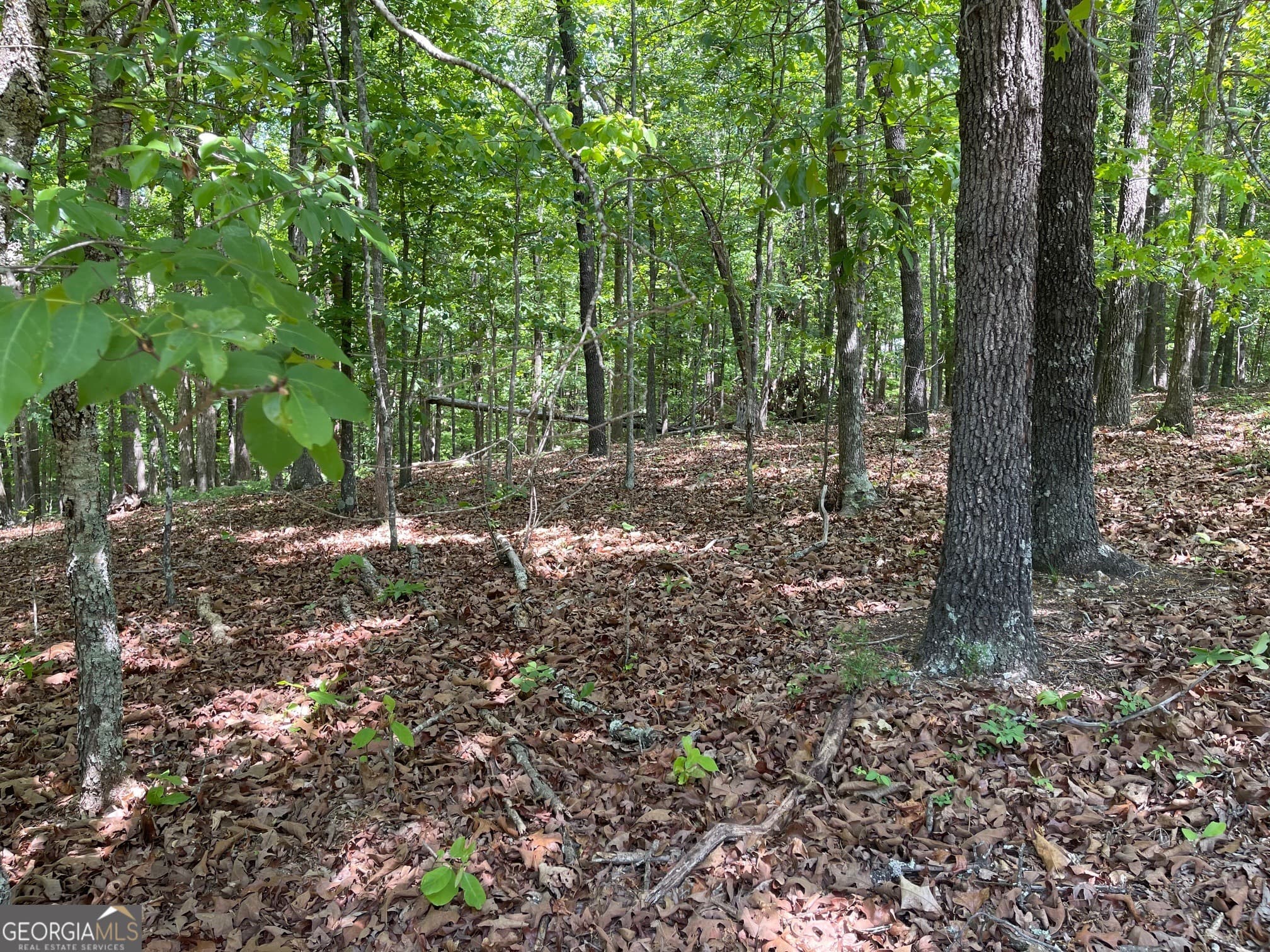 residential lot for sale at TRACT 1A CHALCREST Way, Cave Spring, GA 30124 — photo 8