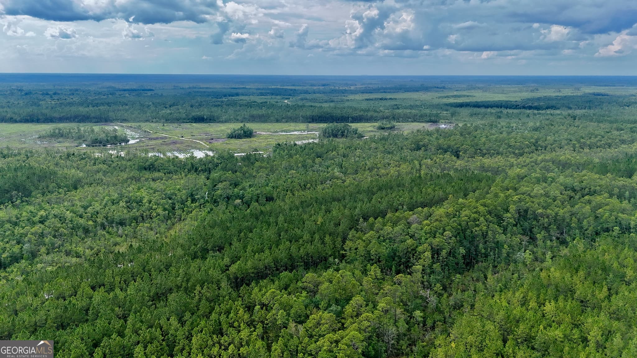 agriculture for sale at 0 Off Dogwood Road, Waynesville, GA 31566 — photo 3