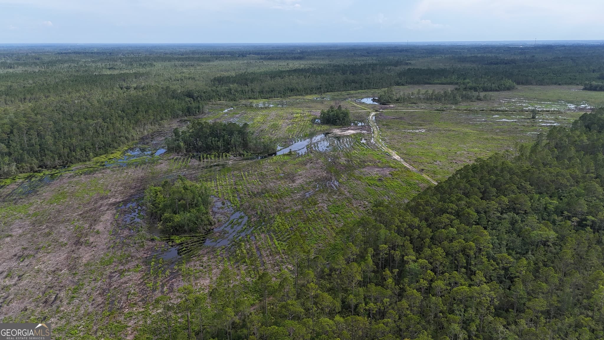agriculture for sale at 0 Off Dogwood Road, Waynesville, GA 31566 — photo 4