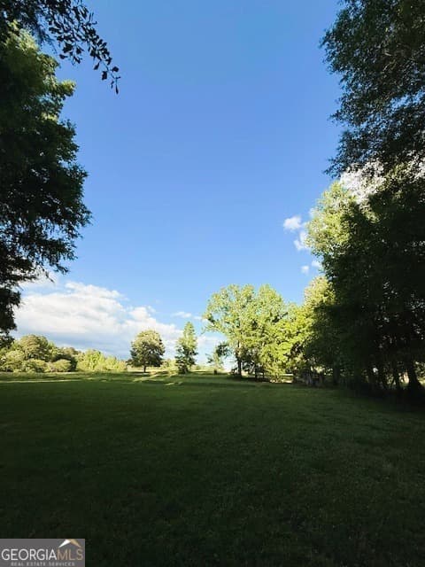 residential lot for sale at LOT 2 SOUTH OF Redwine Road LOT 2 SOUTH OF 1585, Fayetteville, GA 30215 — photo 6