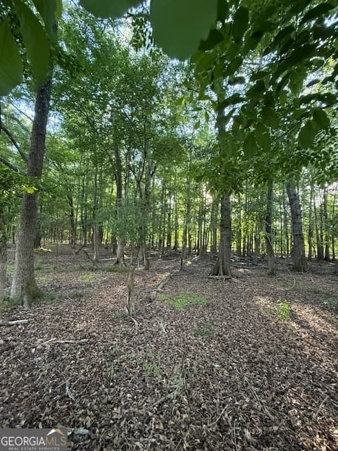 residential lot for sale at LOT 2 SOUTH OF Redwine Road LOT 2 SOUTH OF 1585, Fayetteville, GA 30215 — photo 3