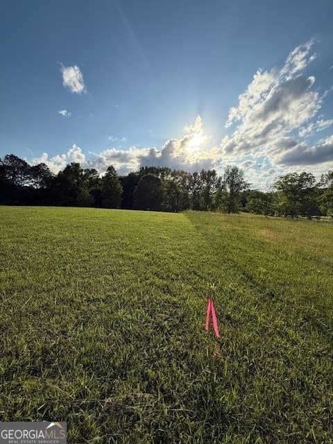 residential lot for sale at LOT 2 SOUTH OF Redwine Road LOT 2 SOUTH OF 1585, Fayetteville, GA 30215 — photo 4