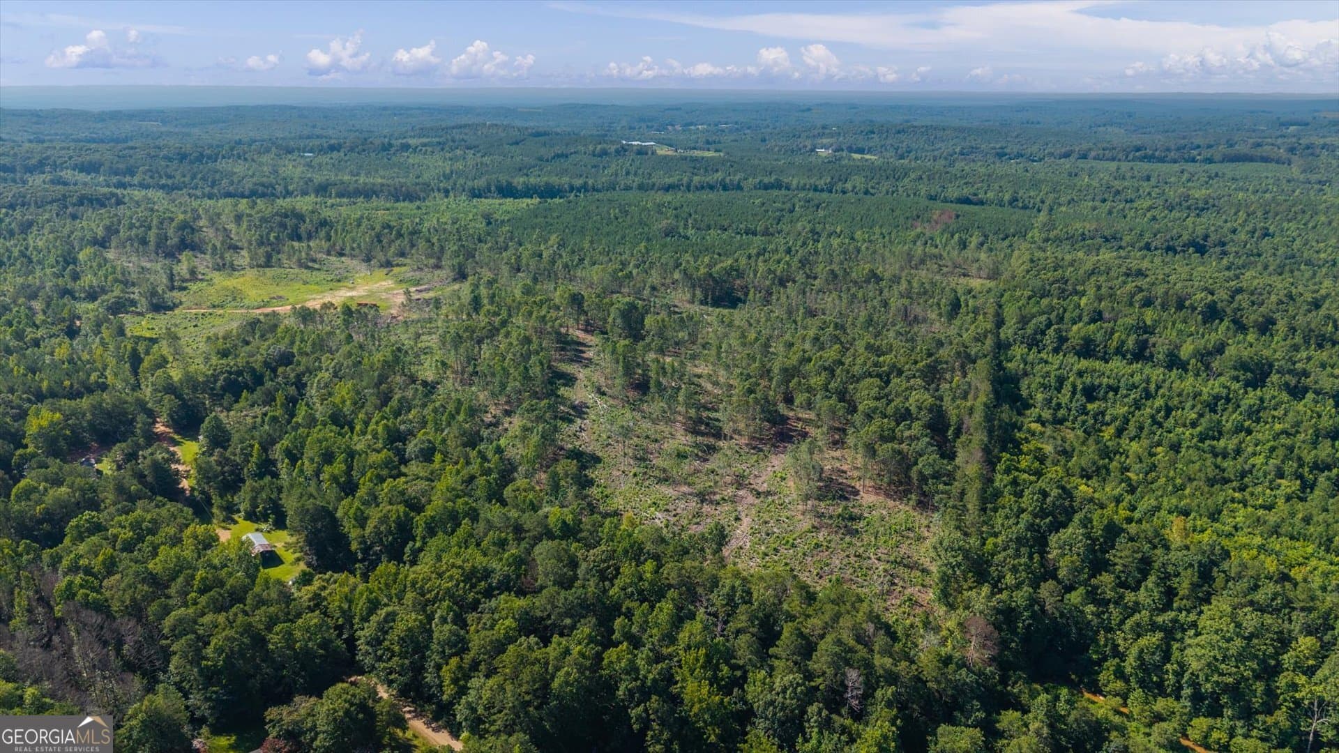 unimproved land for sale at 0 County Road 404 TRACT 2, Heflin, AL 36264 — photo 2