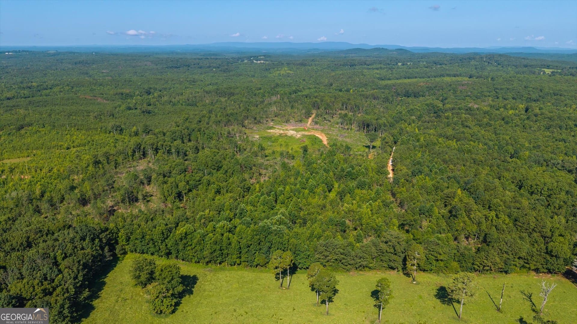 unimproved land for sale at 0 County Road 404 TRACT 2, Heflin, AL 36264 — photo 6