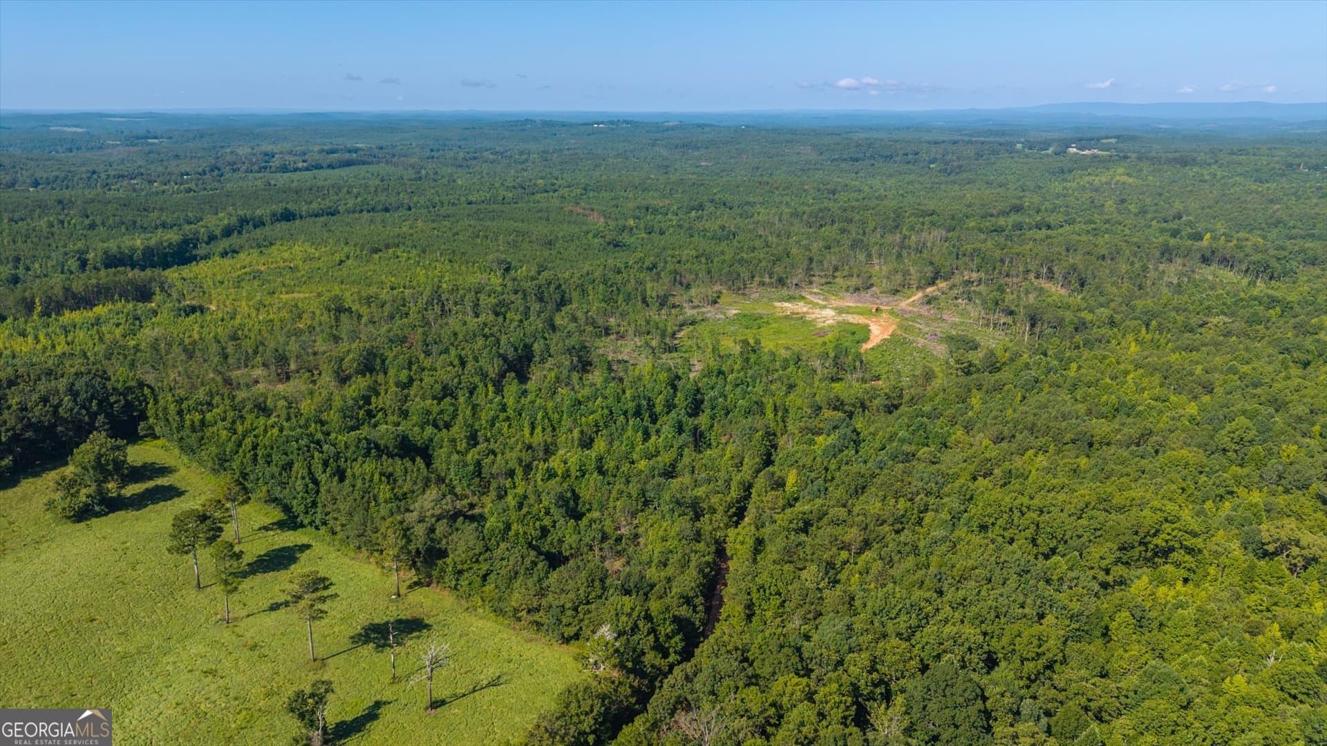 unimproved land for sale at 0 County Road 404 TRACT 2, Heflin, AL 36264 — photo 7