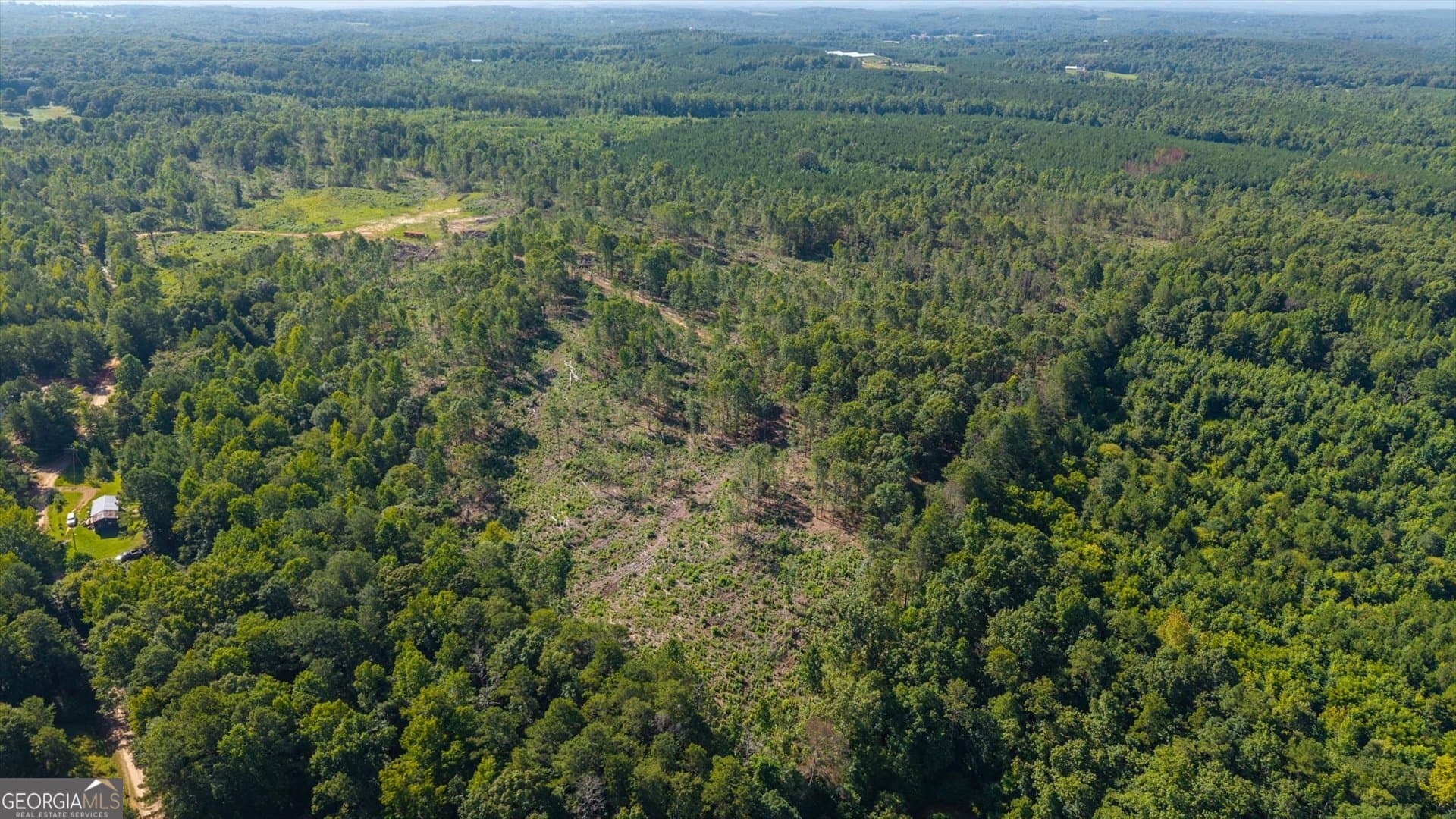 unimproved land for sale at 0 County Road 404 TRACT 2, Heflin, AL 36264 — photo 3