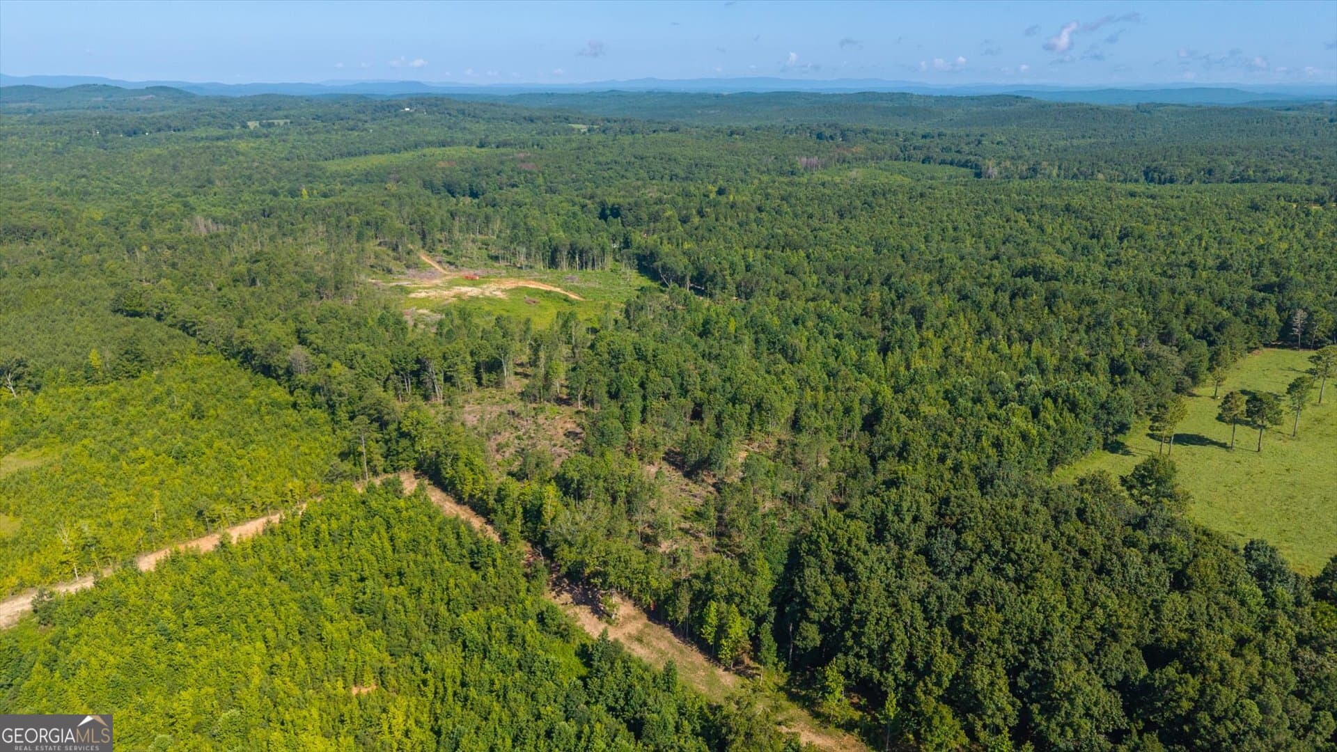 unimproved land for sale at 0 County Road 404 TRACT 2, Heflin, AL 36264 — photo 5