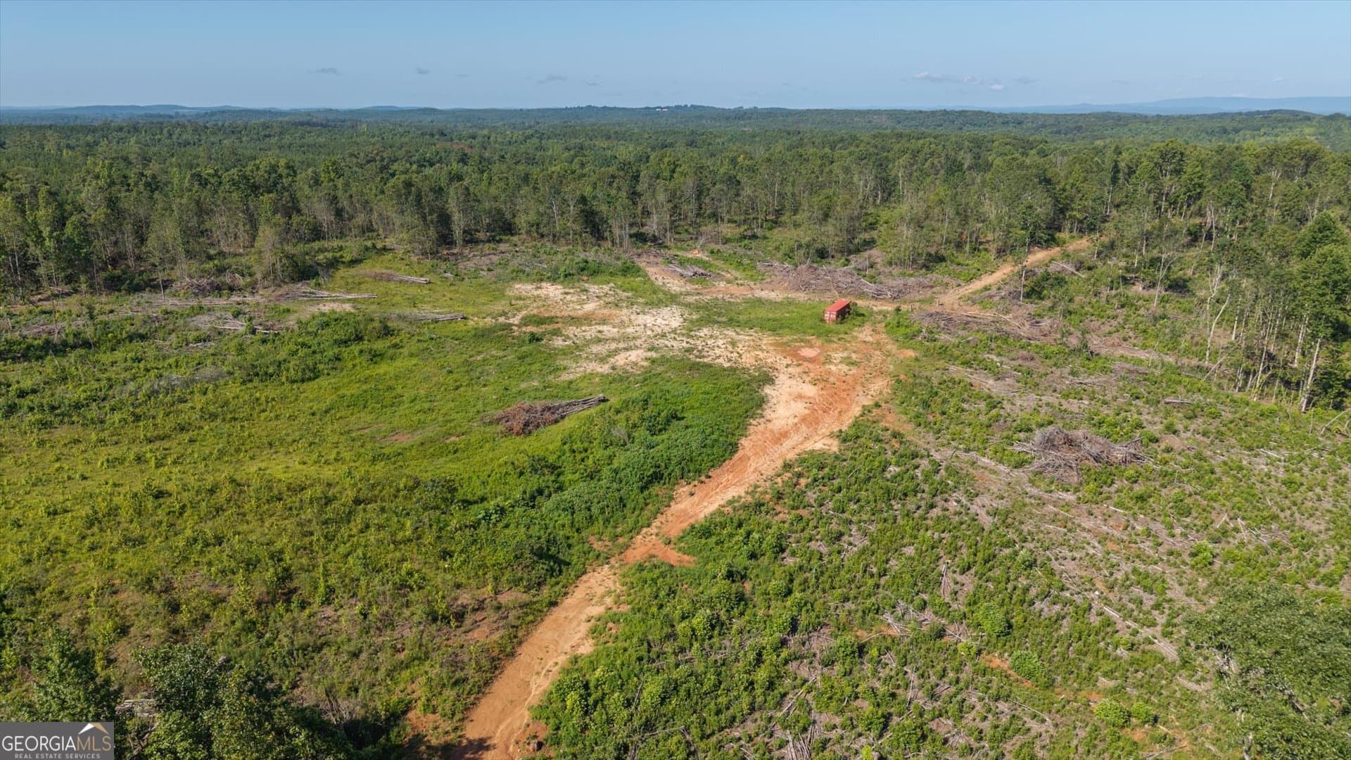 unimproved land for sale at 0 County Road 404 TRACT 2, Heflin, AL 36264 — photo 10