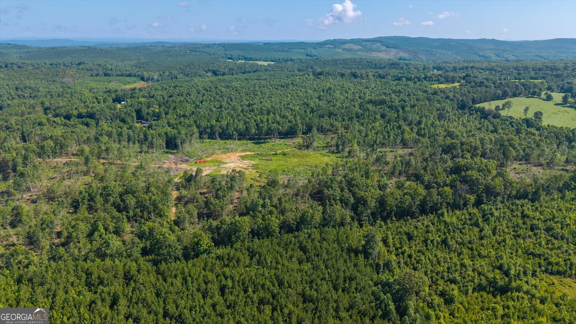 unimproved land for sale at 0 County Road 404 TRACT 2, Heflin, AL 36264 — photo 4