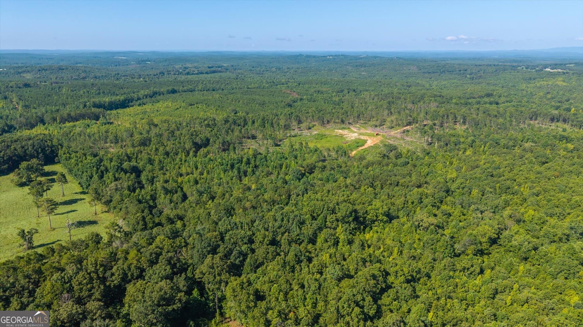 unimproved land for sale at 0 County Road 404 TRACT 2, Heflin, AL 36264 — photo 8