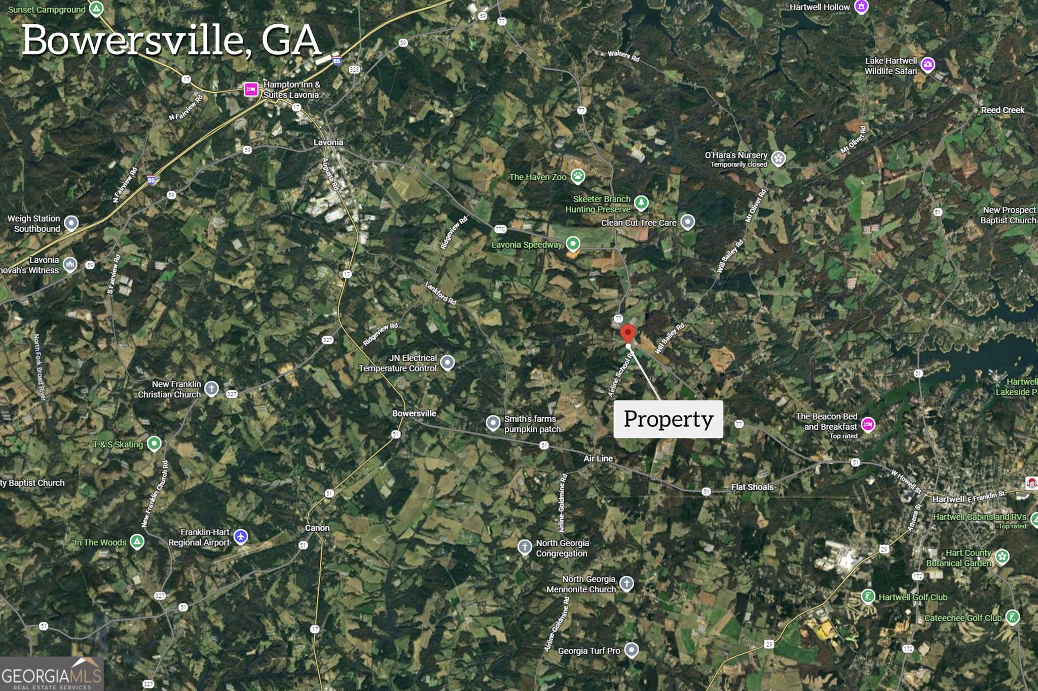 estate lot for sale at 0 Airline School Road TRACT 6, Bowersville, GA 30516 — photo 10