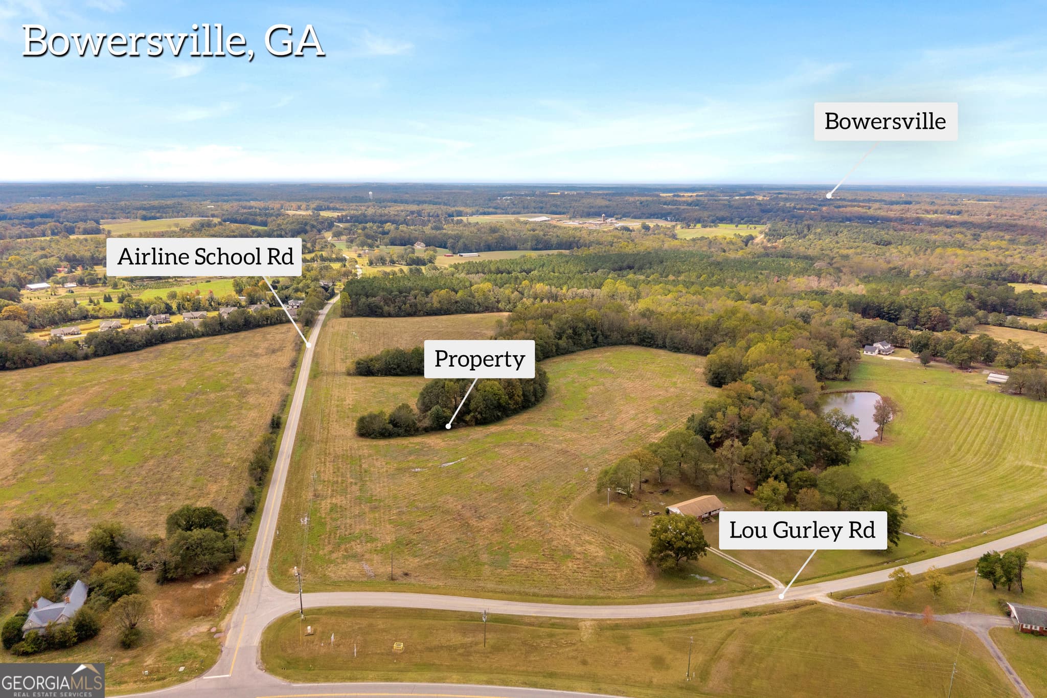 estate lot for sale at 0 Airline School Road TRACT 6, Bowersville, GA 30516 — photo 4
