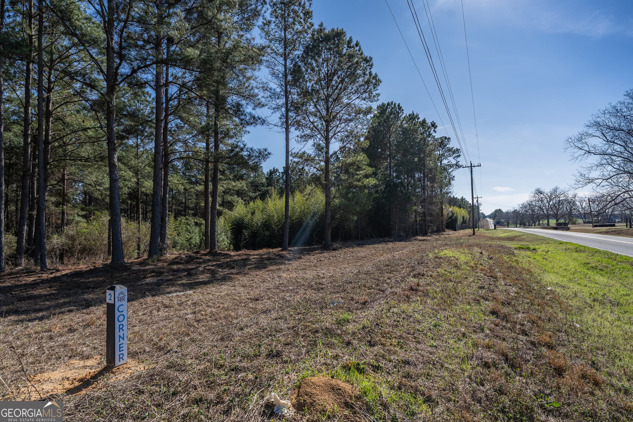 residential lot for sale at LOT 1 Ben Giddens Road, Eastman, GA 31023 — photo 6