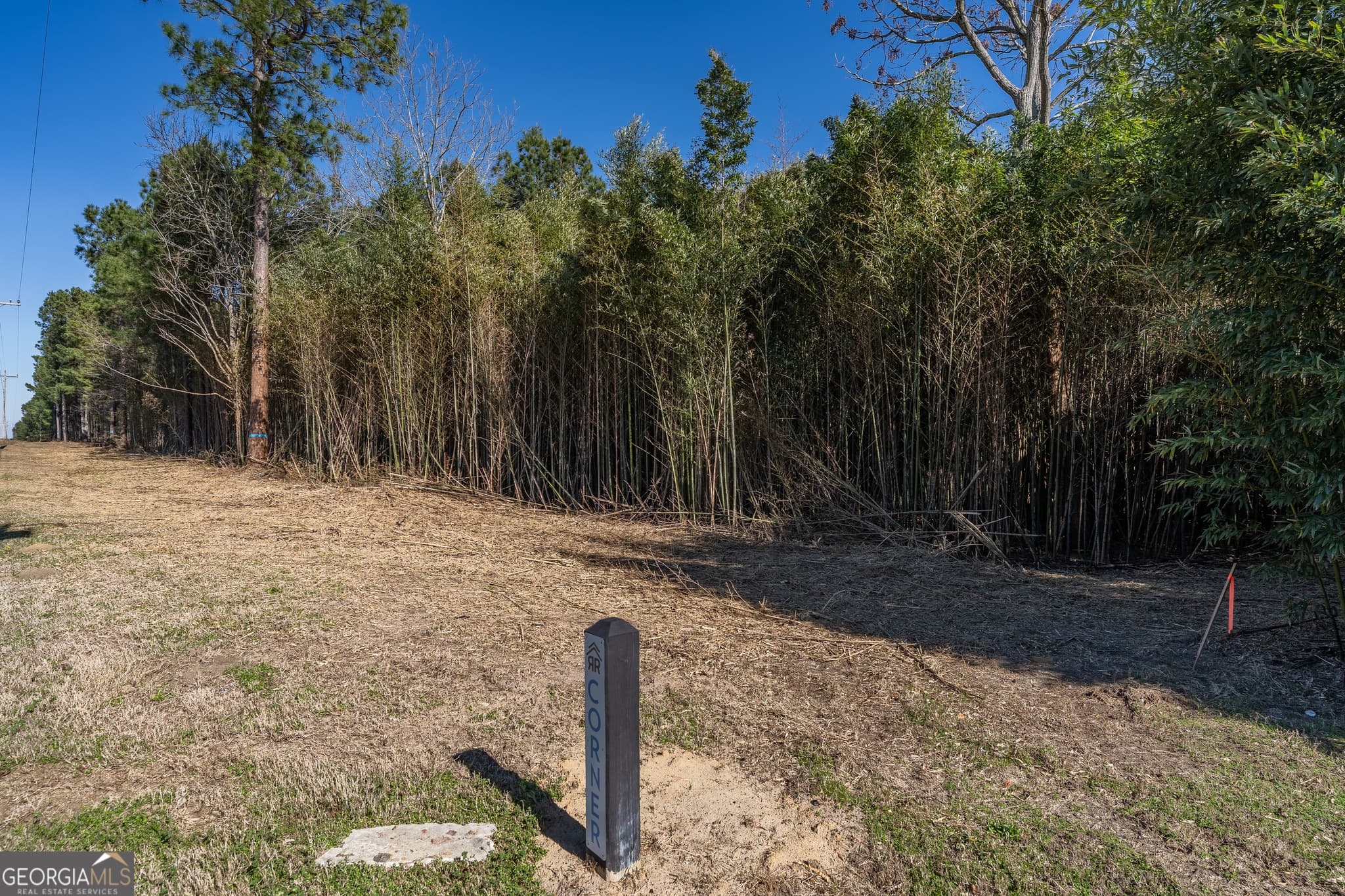 residential lot for sale at LOT 1 Ben Giddens Road, Eastman, GA 31023 — photo 7