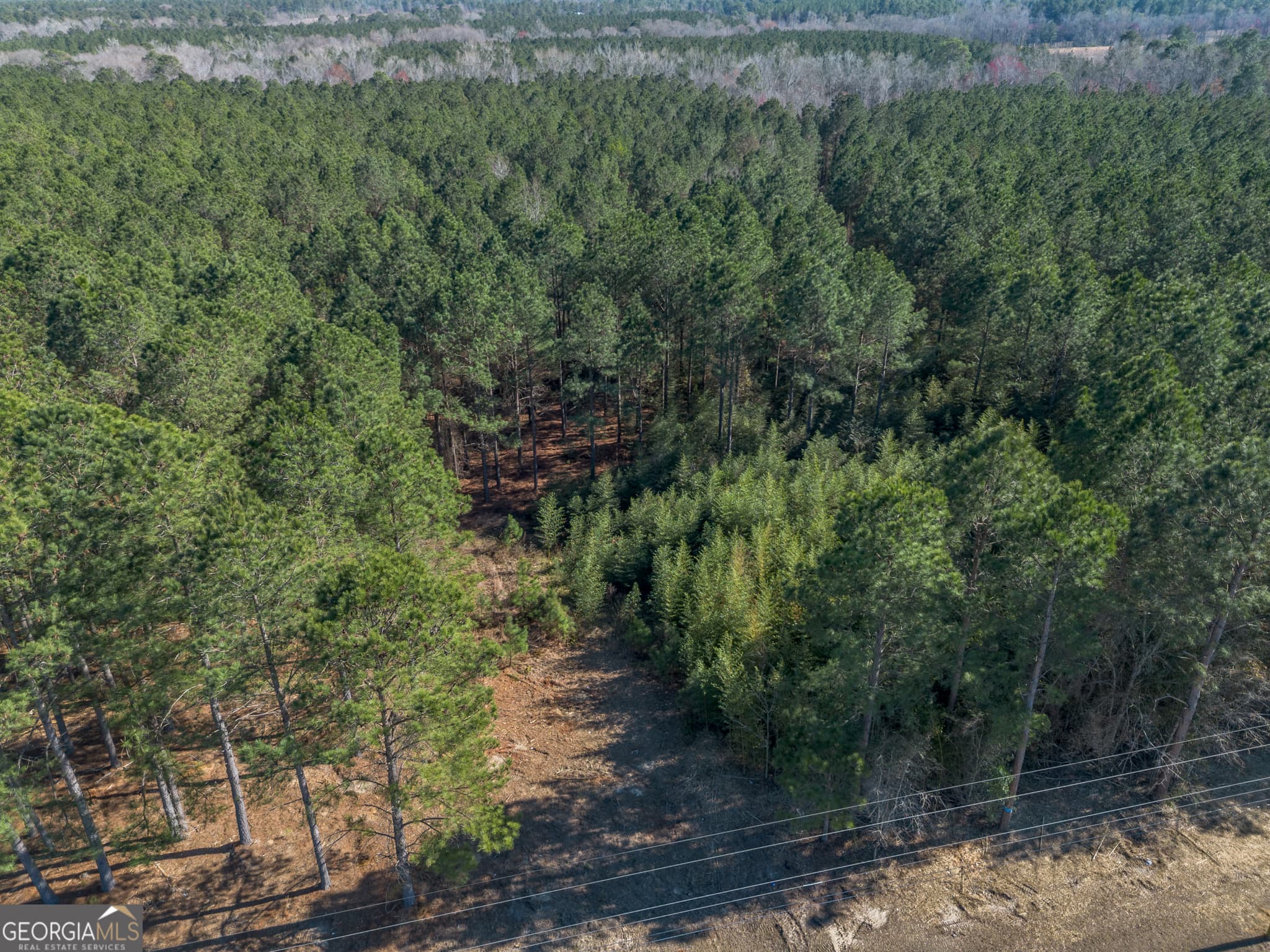 residential lot for sale at LOT 1 Ben Giddens Road, Eastman, GA 31023 — photo 3
