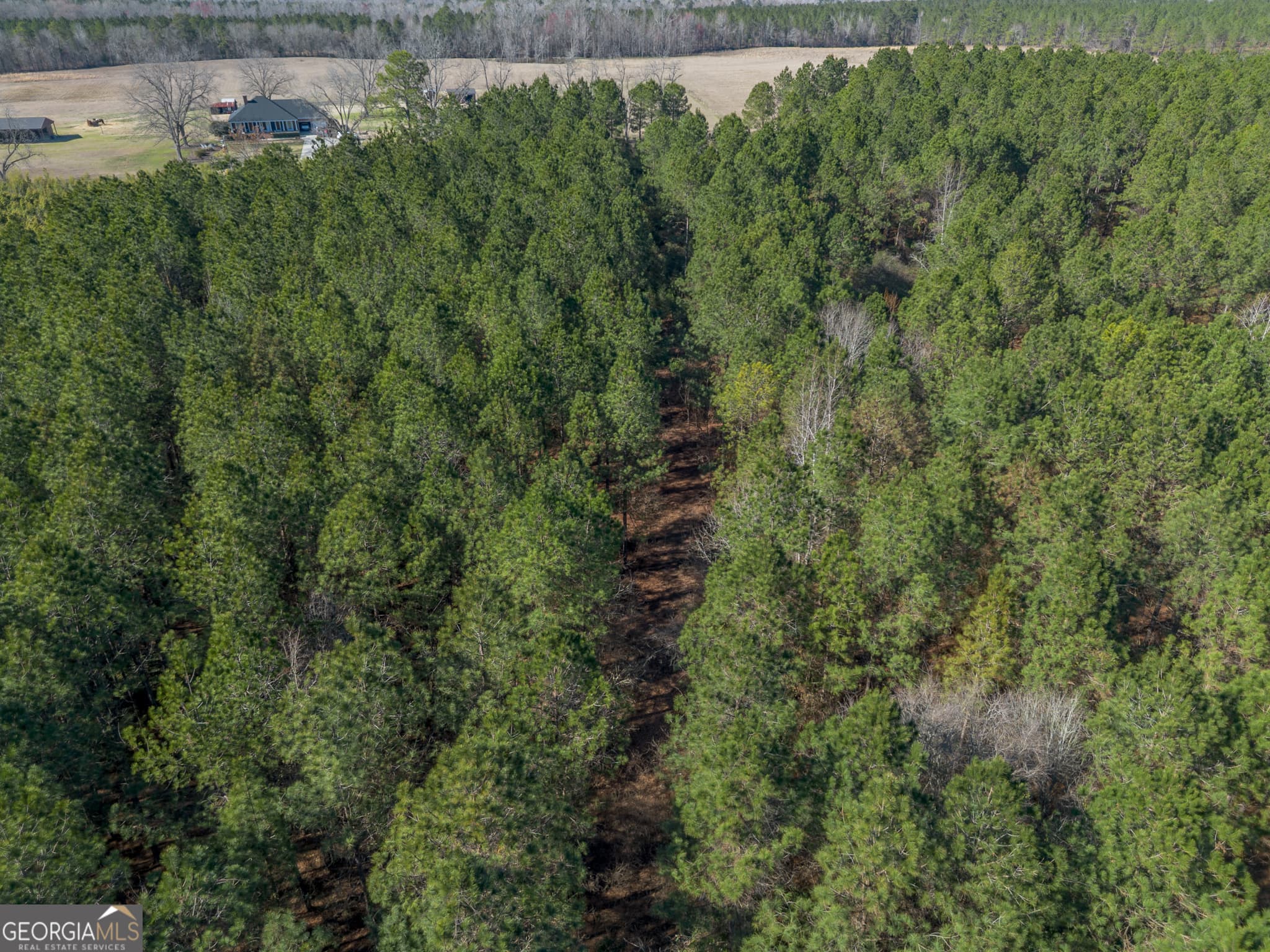 residential lot for sale at LOT 1 Ben Giddens Road, Eastman, GA 31023 — photo 5