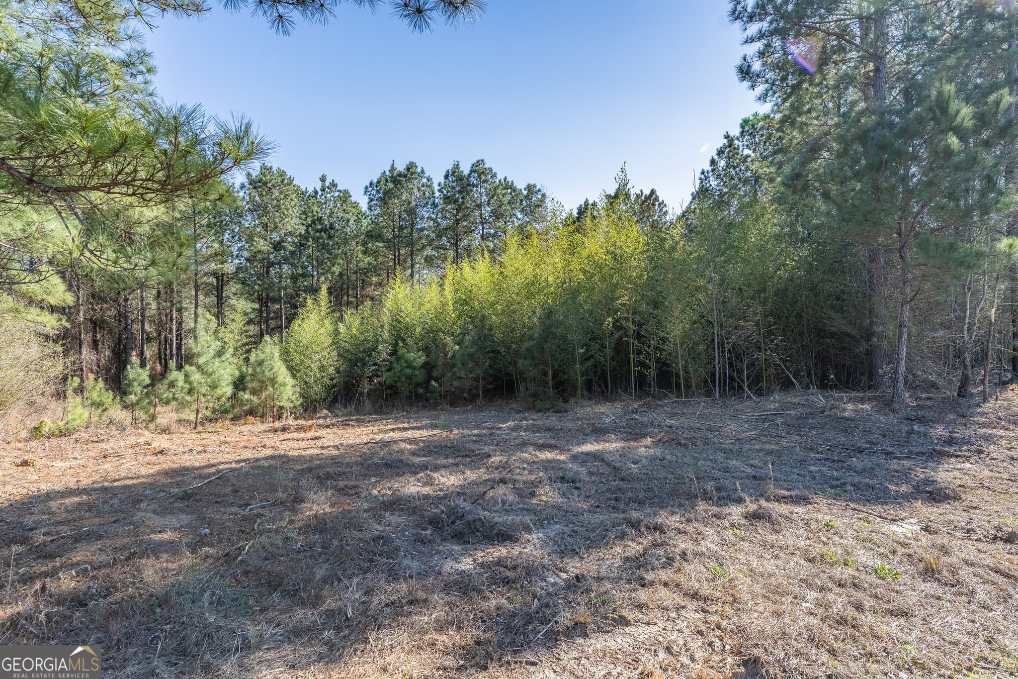 residential lot for sale at LOT 1 Ben Giddens Road, Eastman, GA 31023 — photo 9