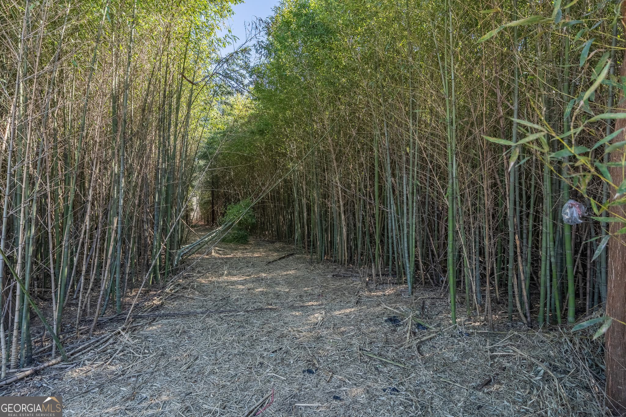residential lot for sale at LOT 1 Ben Giddens Road, Eastman, GA 31023 — photo 8