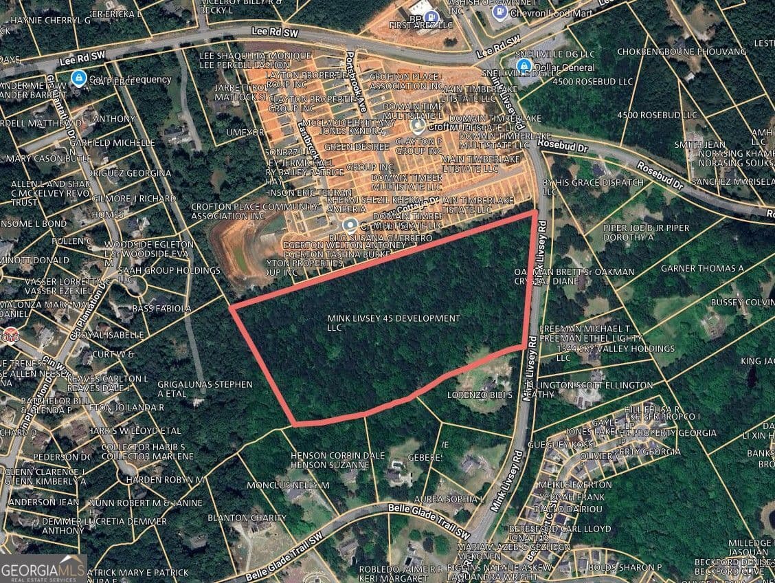 unimproved land for sale at 0 Mink Livsey Road, Snellville, GA 30039 — photo 1 of 6