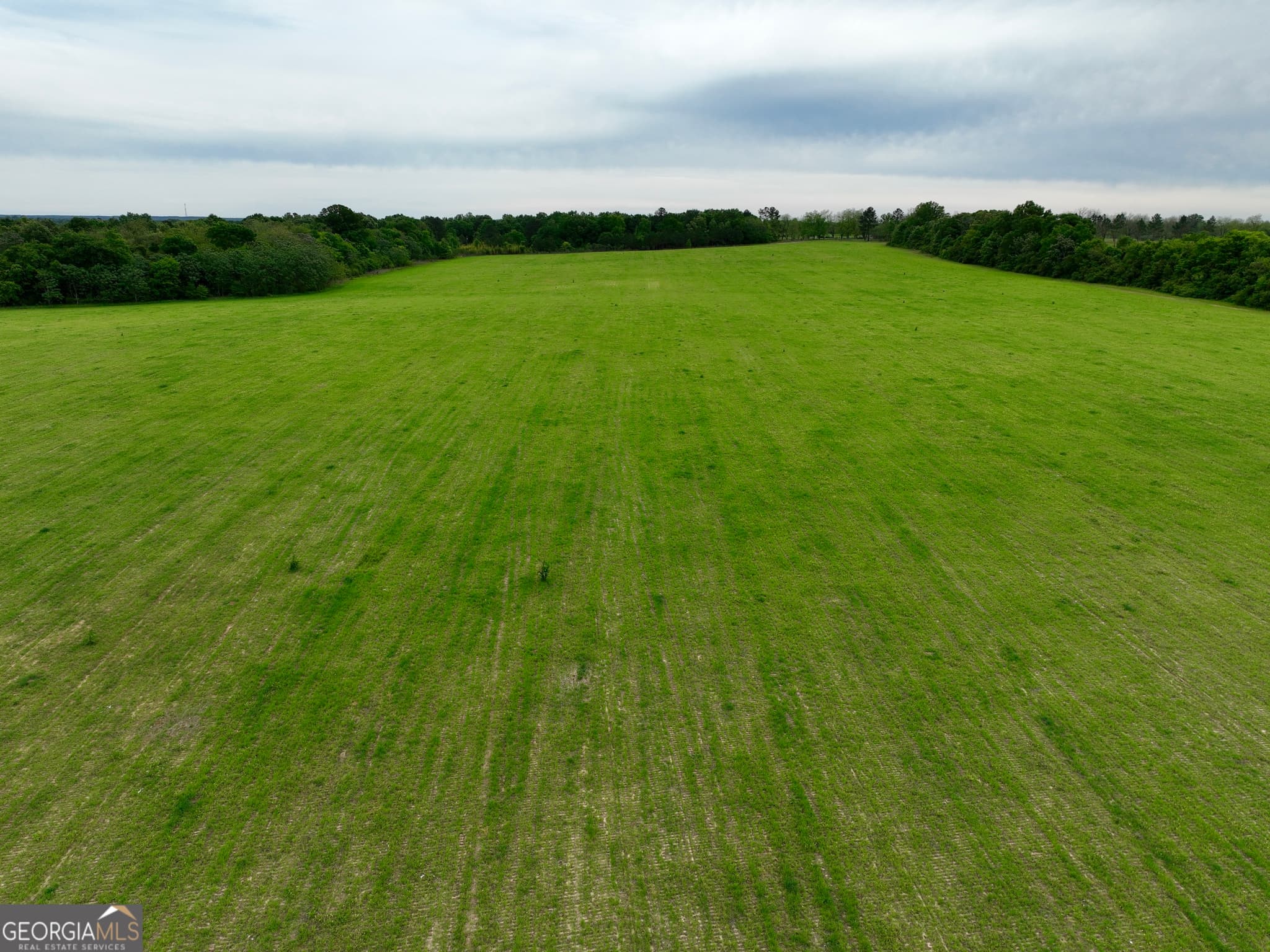 agriculture under contract at 0 Fourteen Lane Road, Hawkinsville, GA 31036 — photo 2