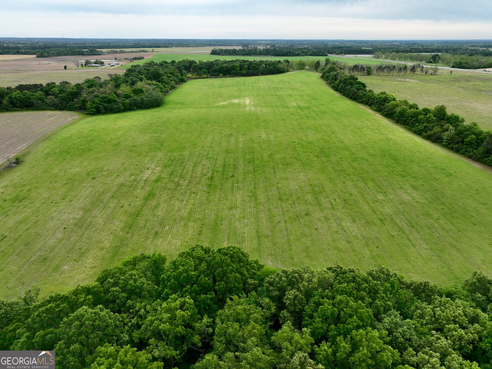 agriculture under contract at 0 Fourteen Lane Road, Hawkinsville, GA 31036 — photo 6