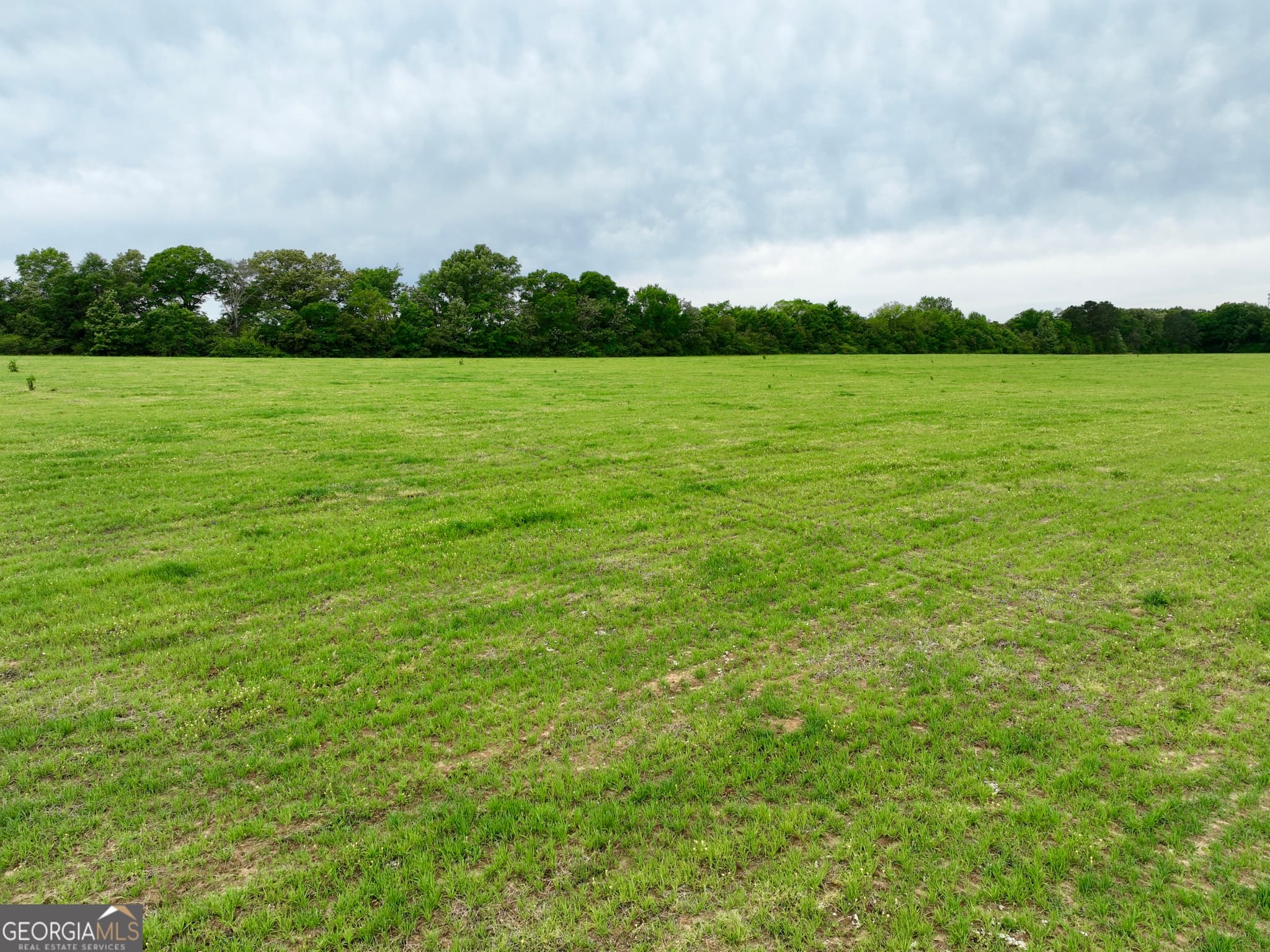 agriculture under contract at 0 Fourteen Lane Road, Hawkinsville, GA 31036 — photo 7