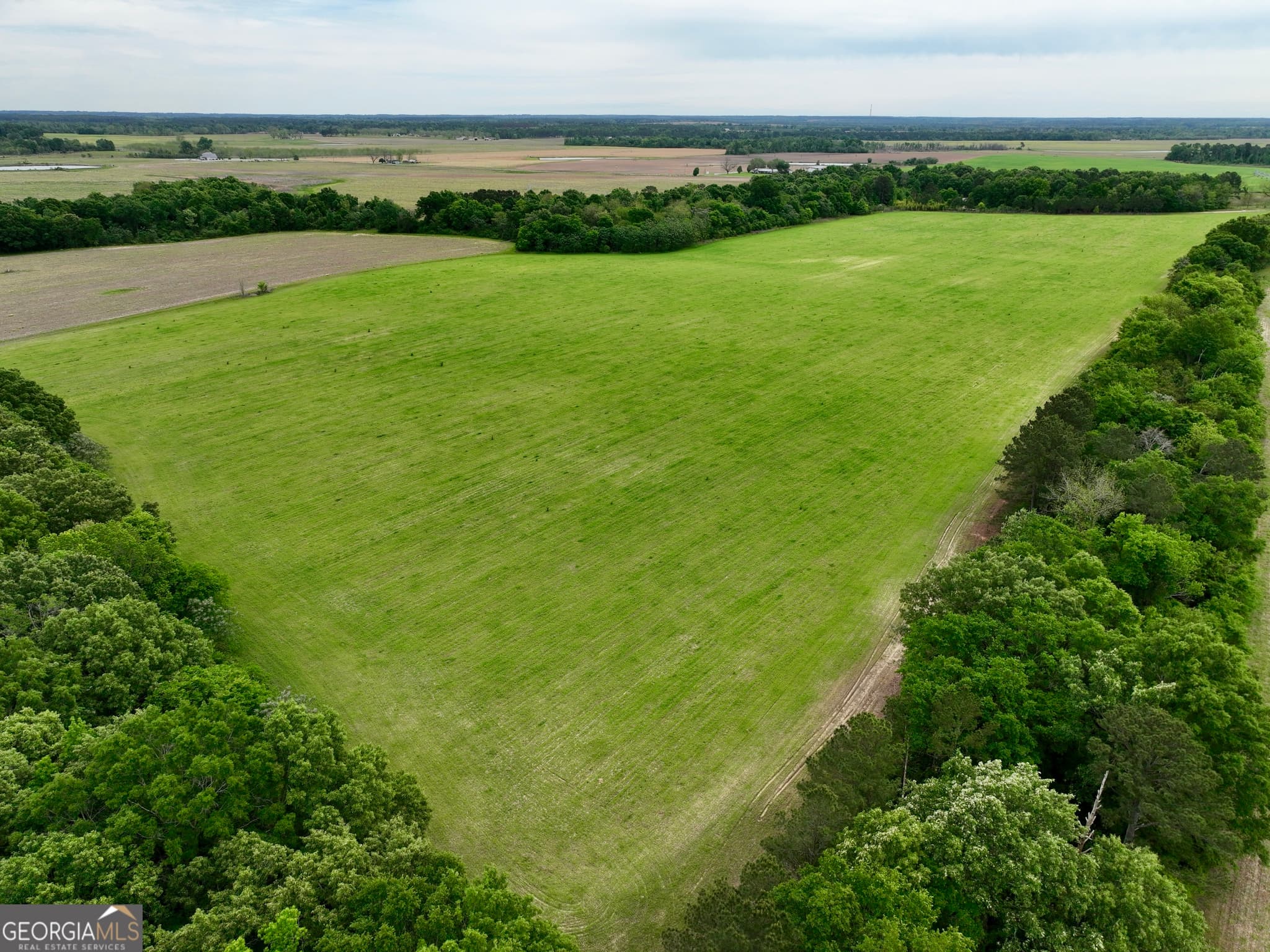 agriculture under contract at 0 Fourteen Lane Road, Hawkinsville, GA 31036 — photo 3