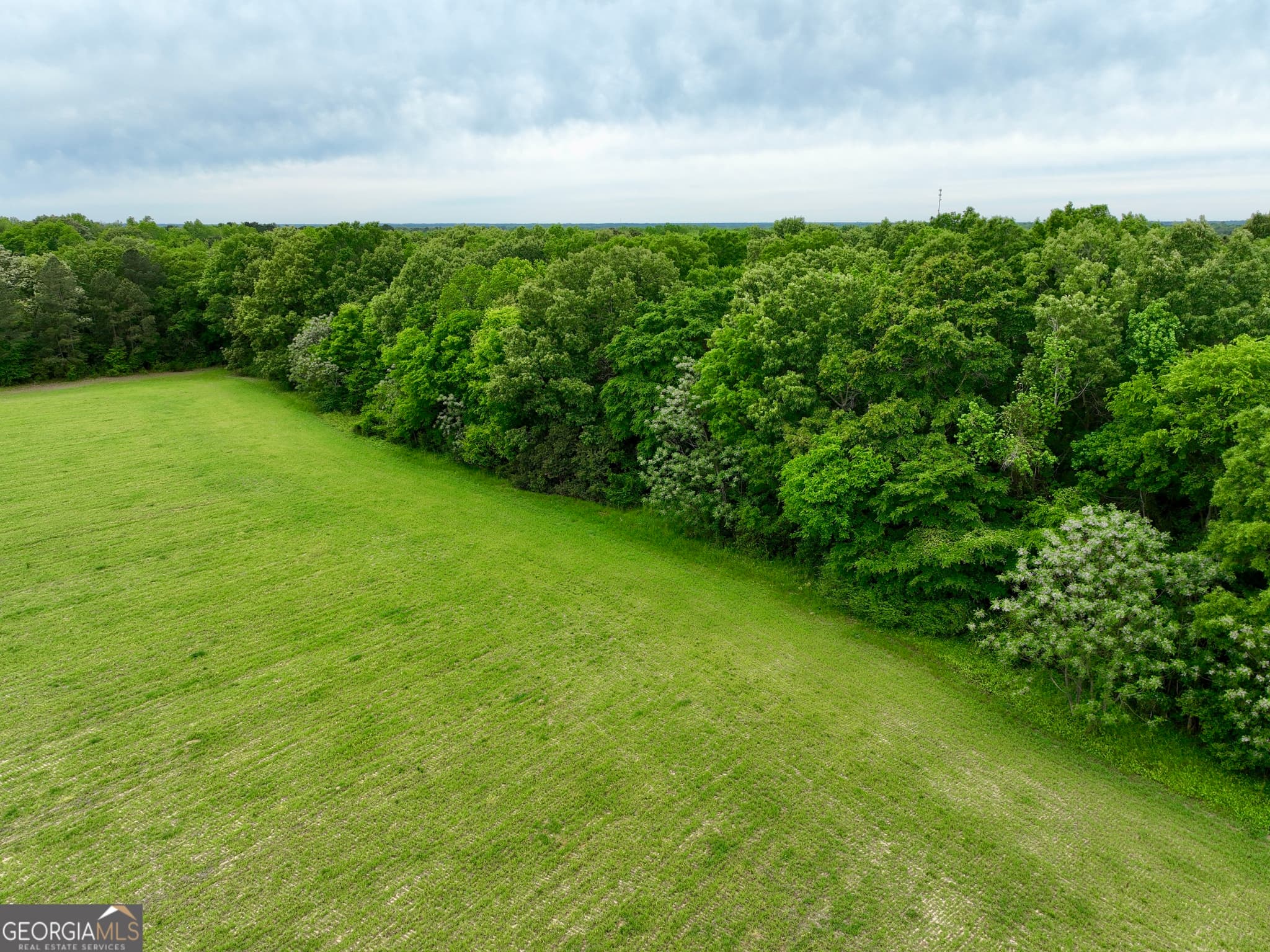 agriculture under contract at 0 Fourteen Lane Road, Hawkinsville, GA 31036 — photo 5